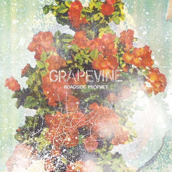 Shame