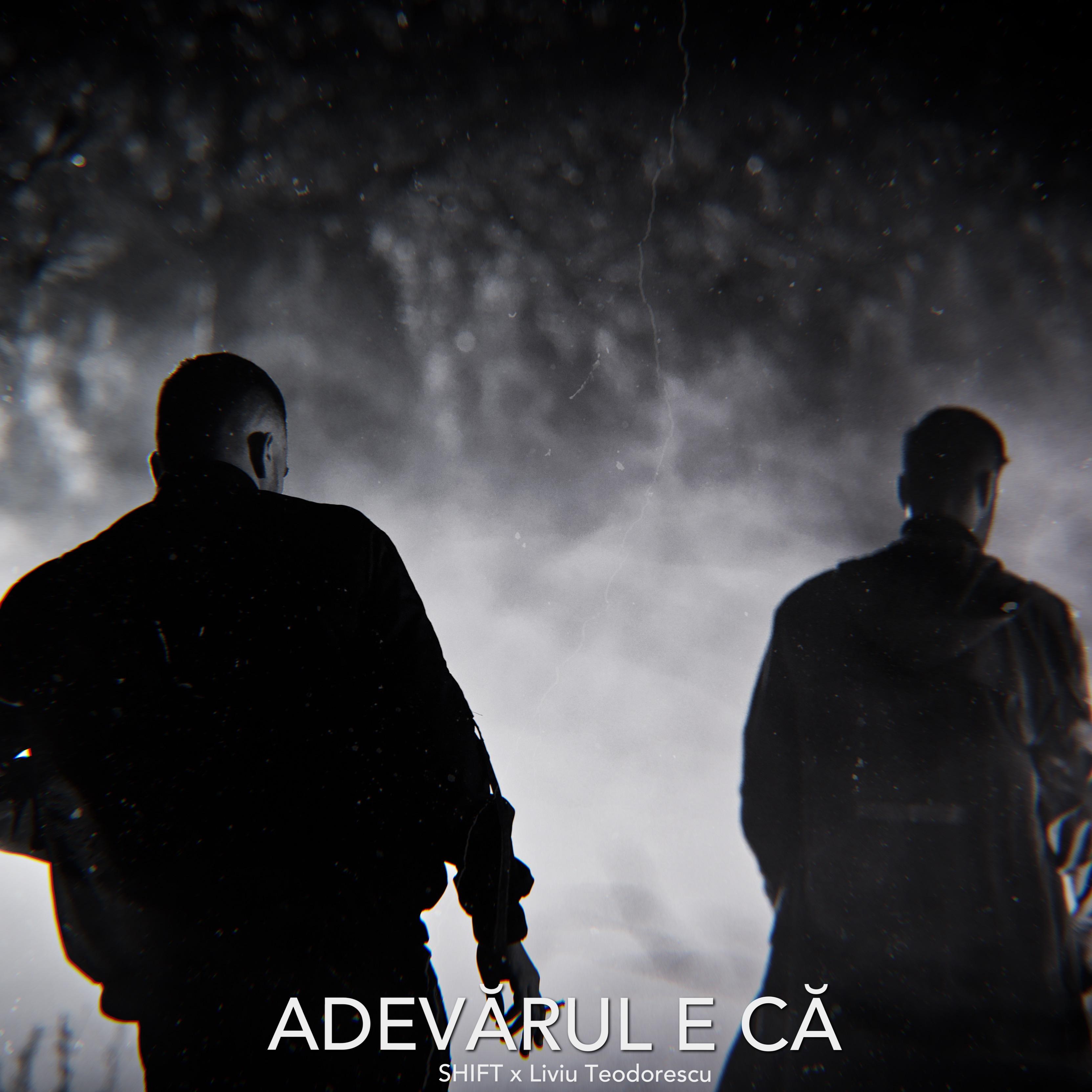 Adev rul E C