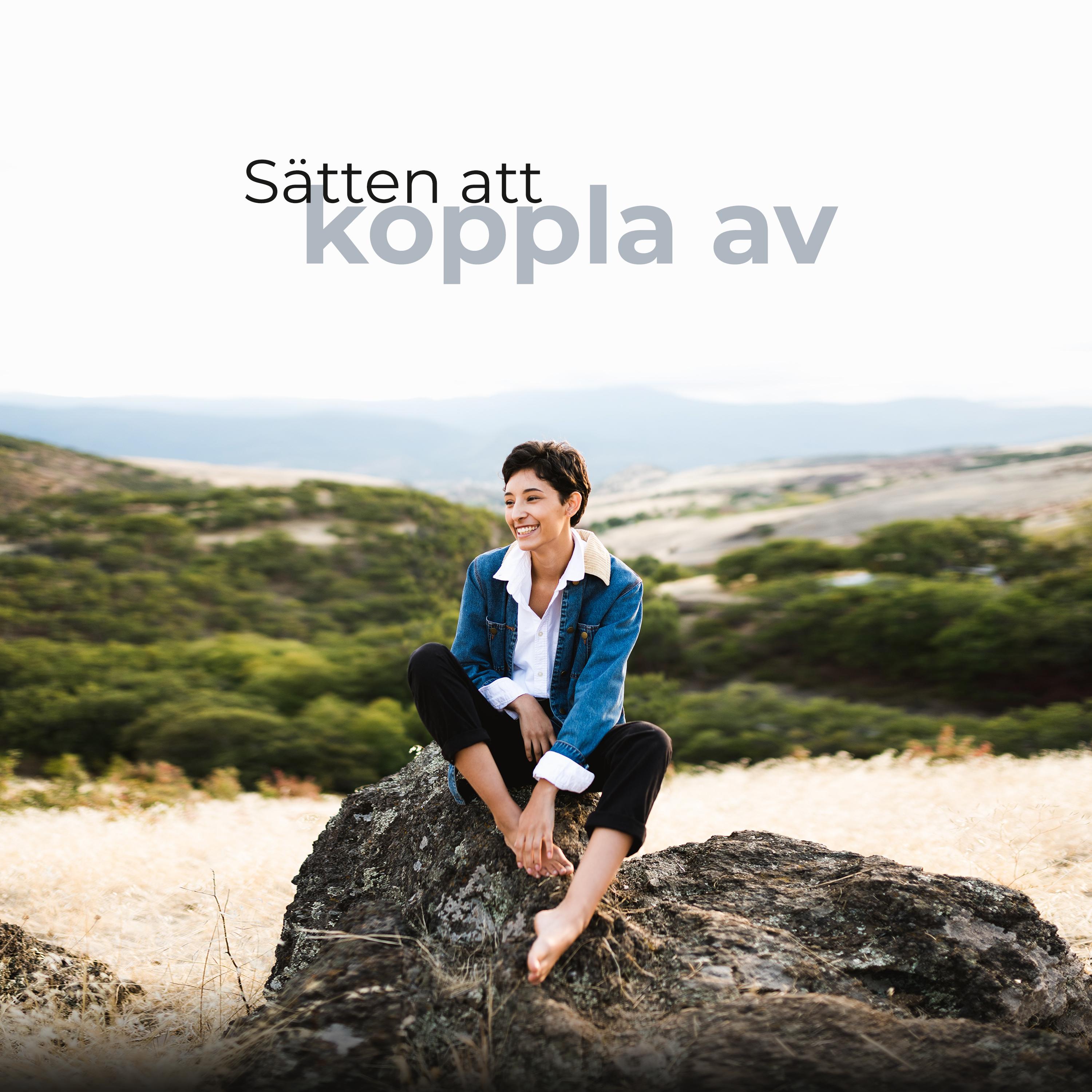 Zen-anslutning