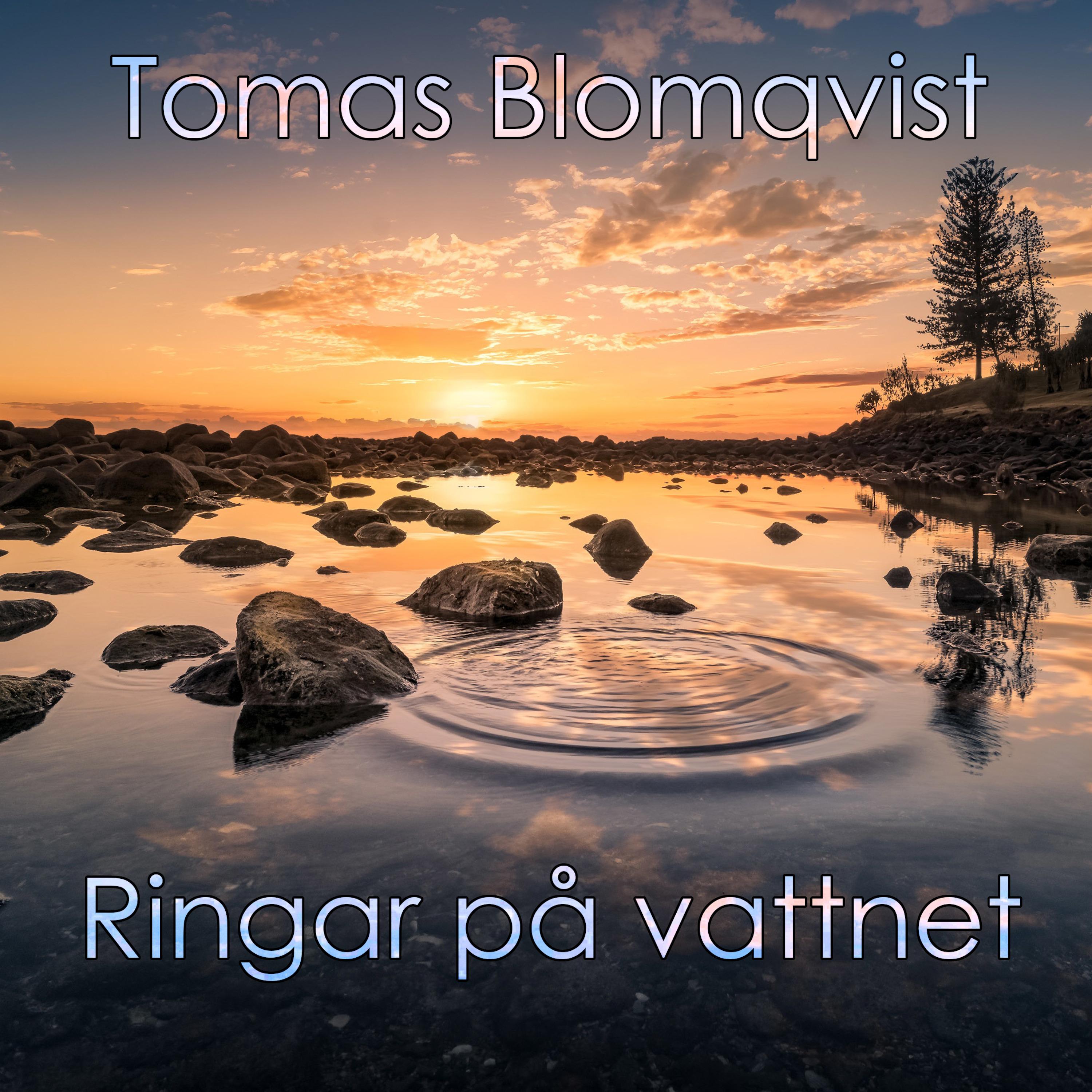 Ringar p vattnet