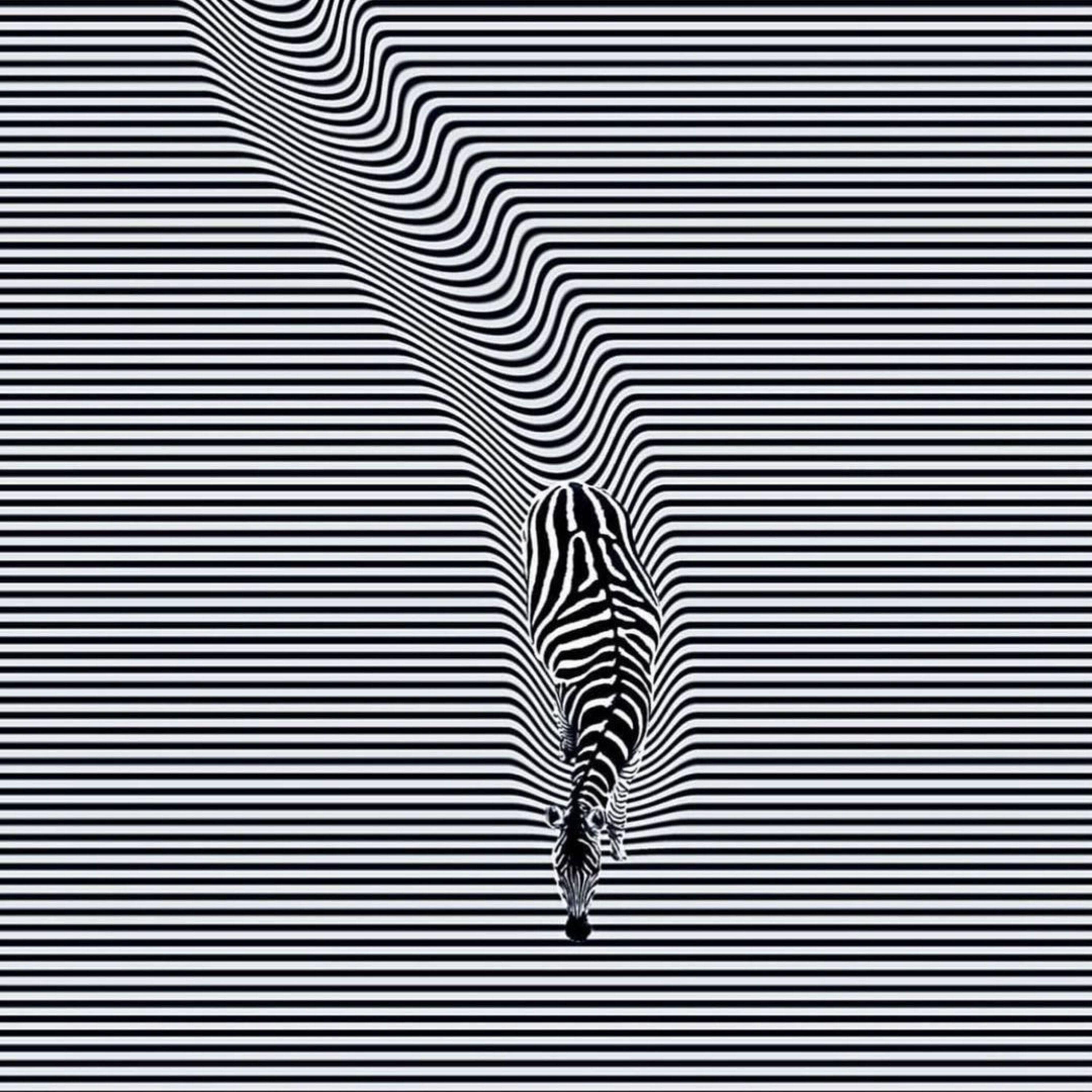 Set Me Free