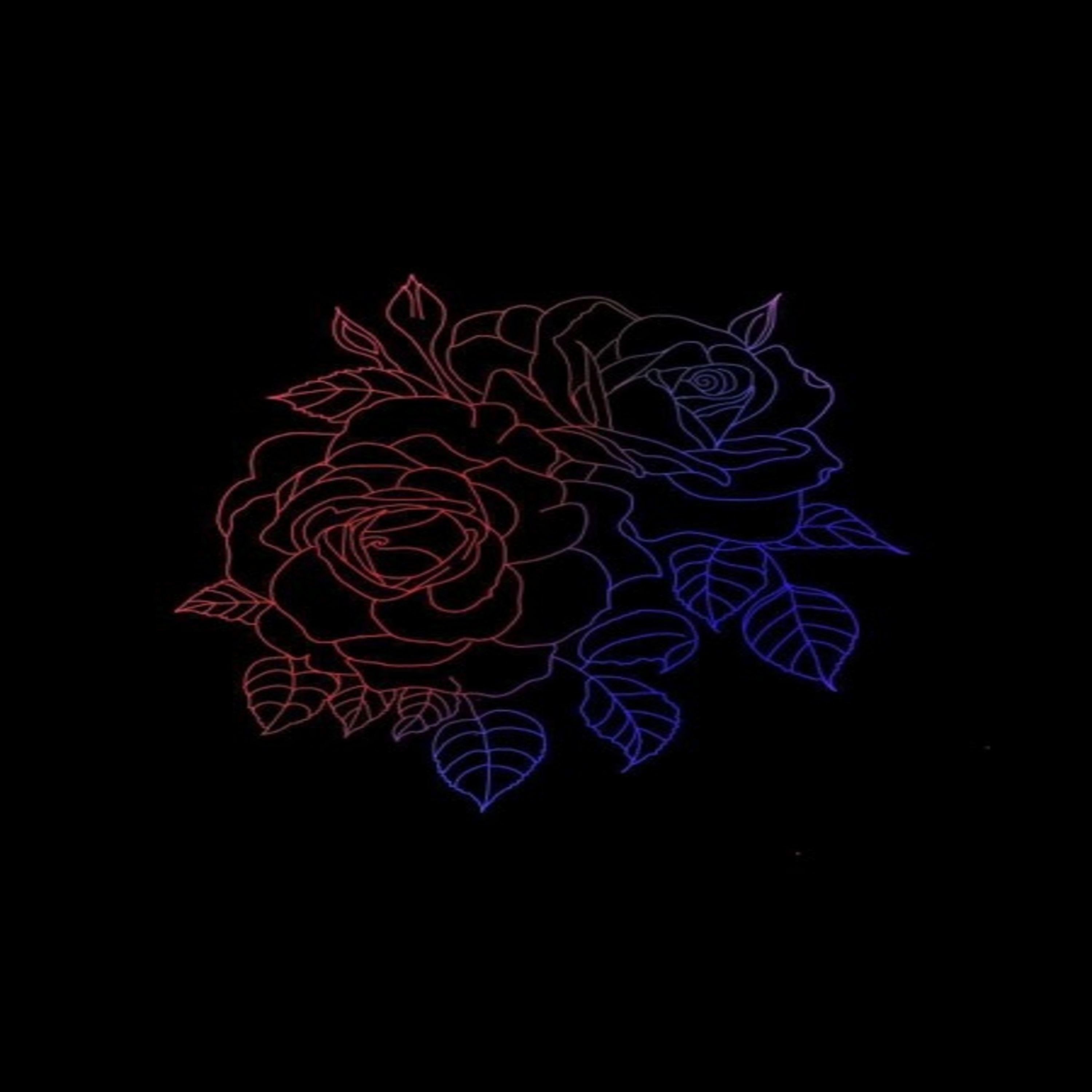 Dead Roses