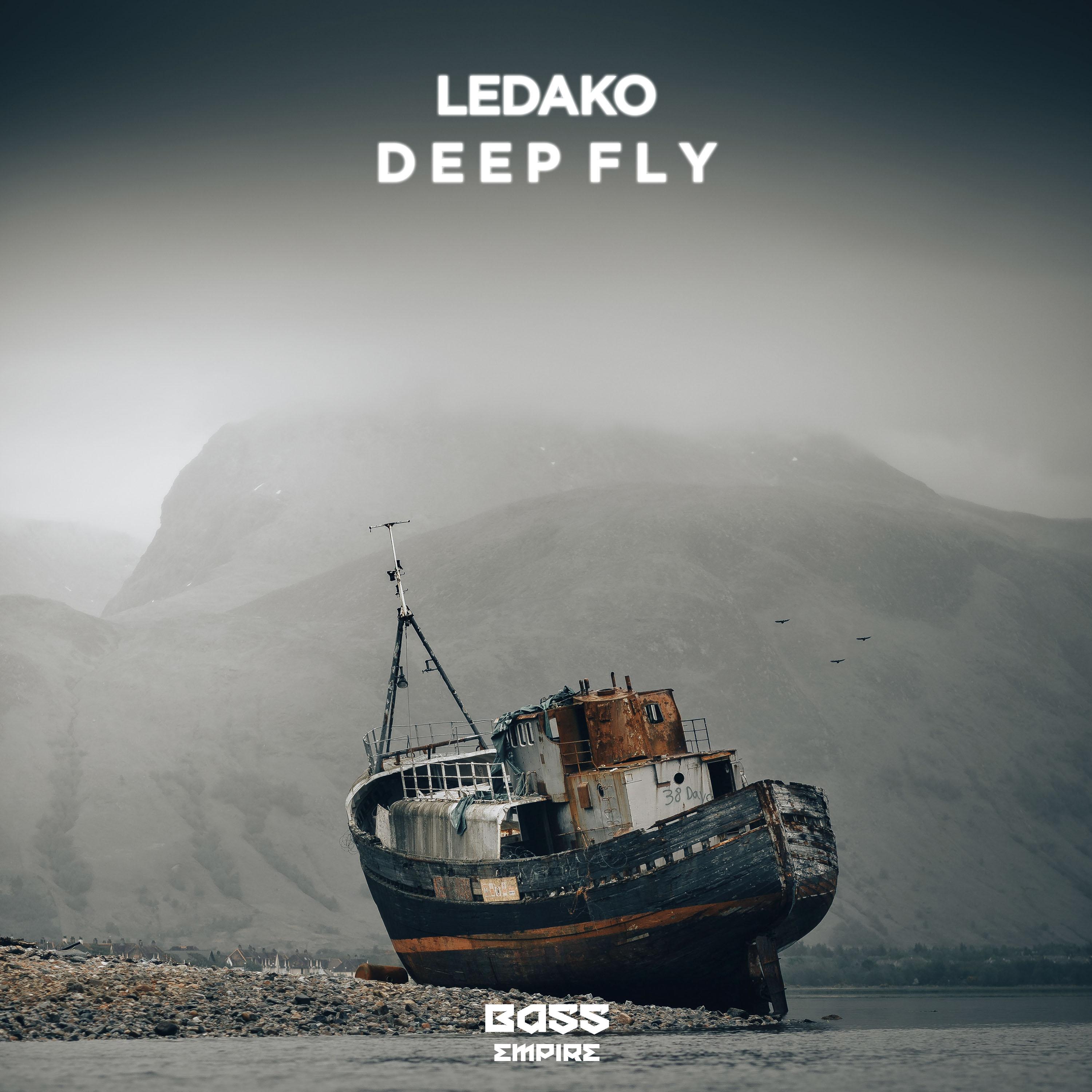 Deep Fly