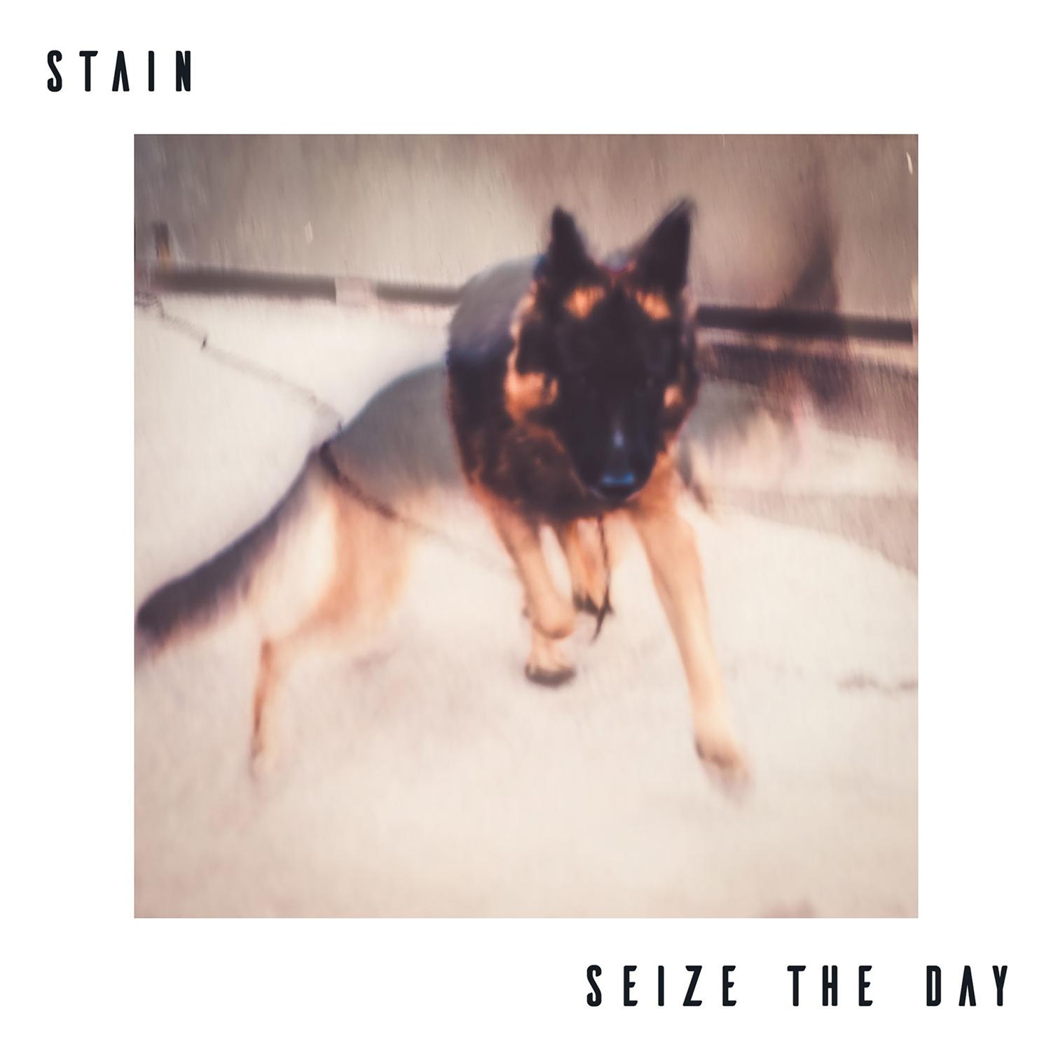 Seize the day