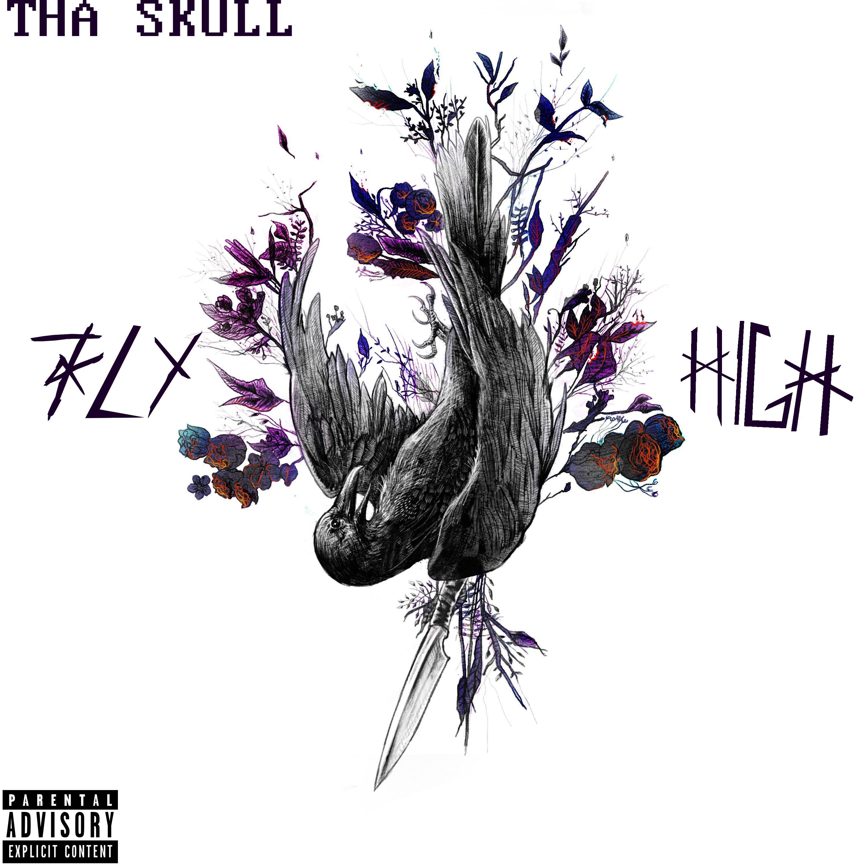 Fly High