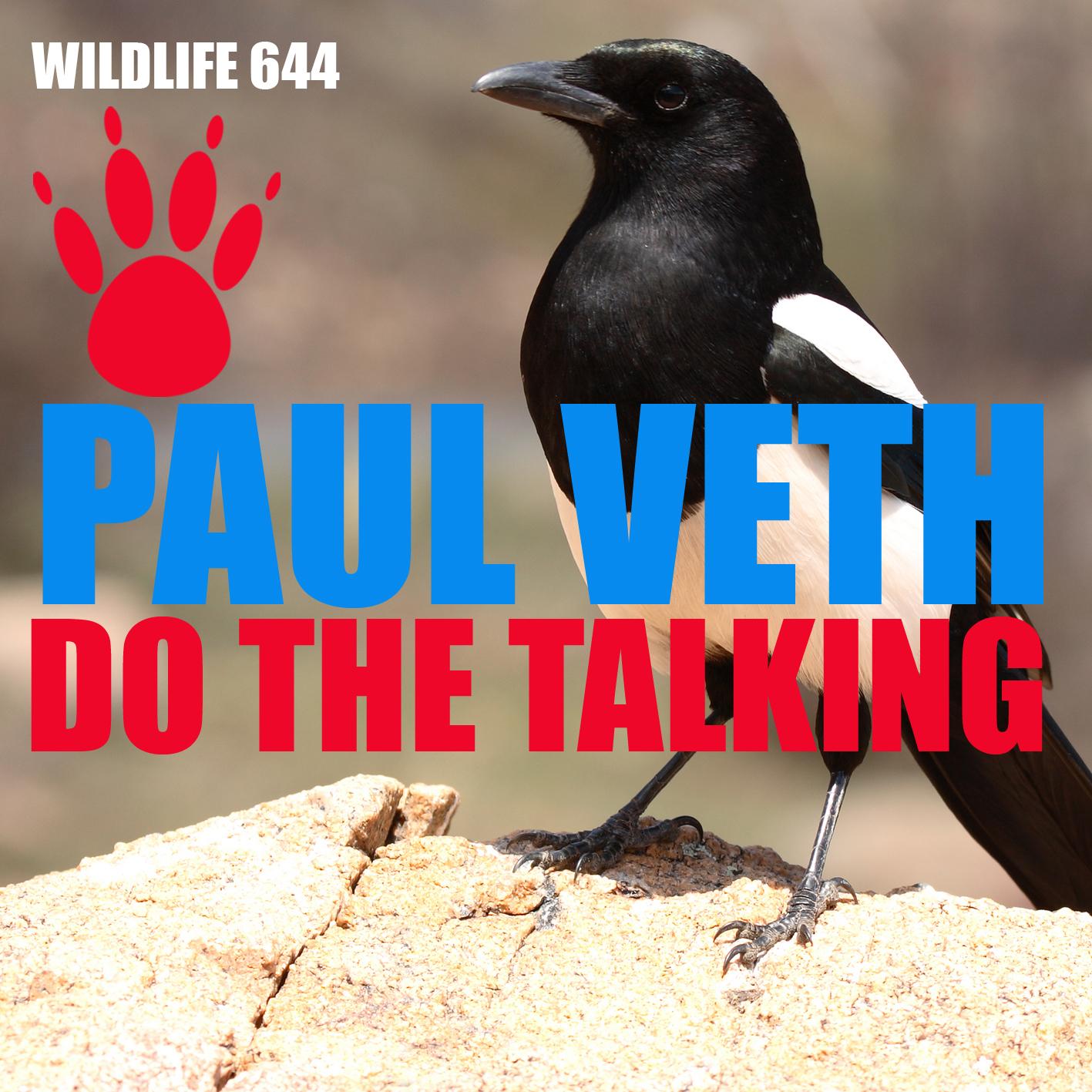 Do the Talking