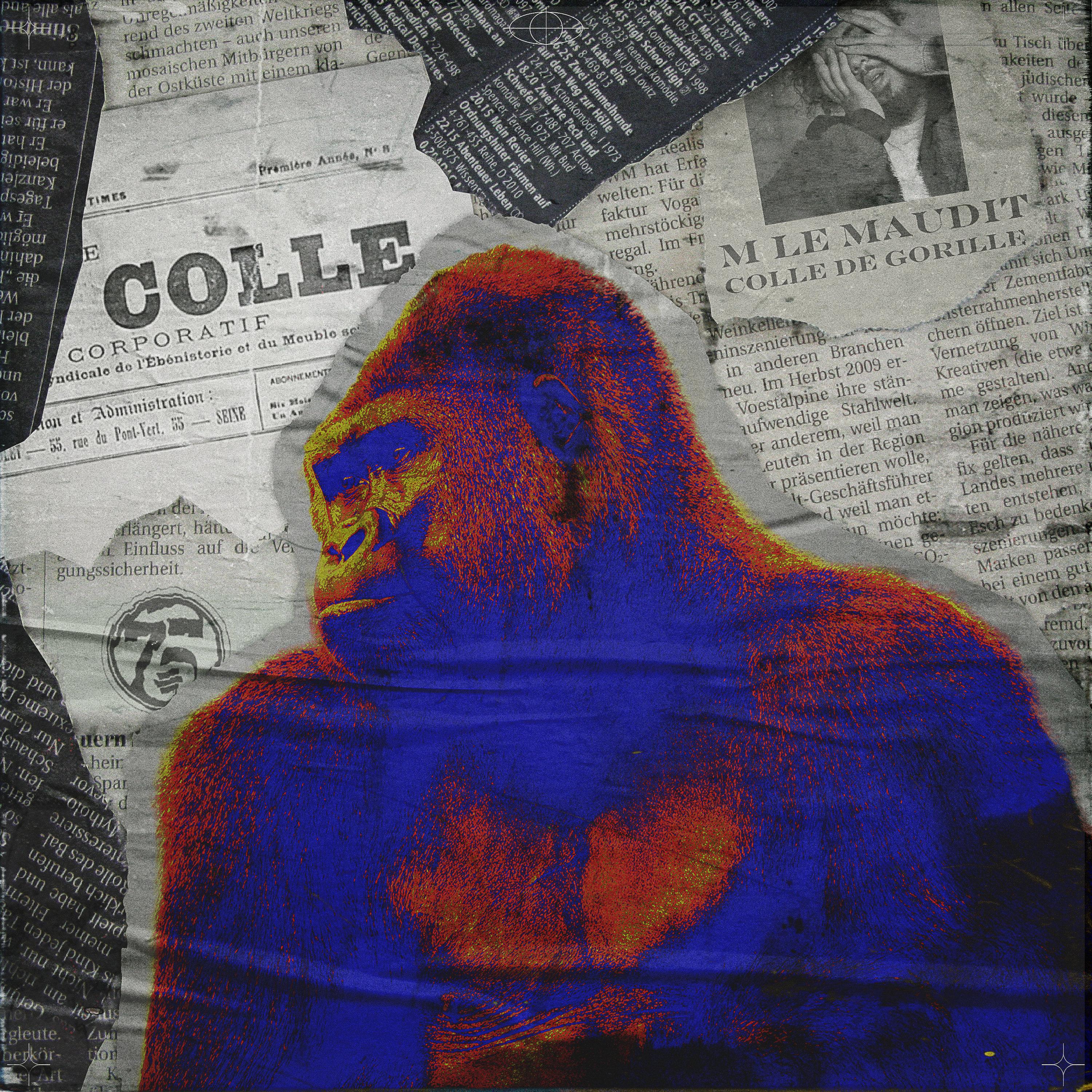 Colle de gorille