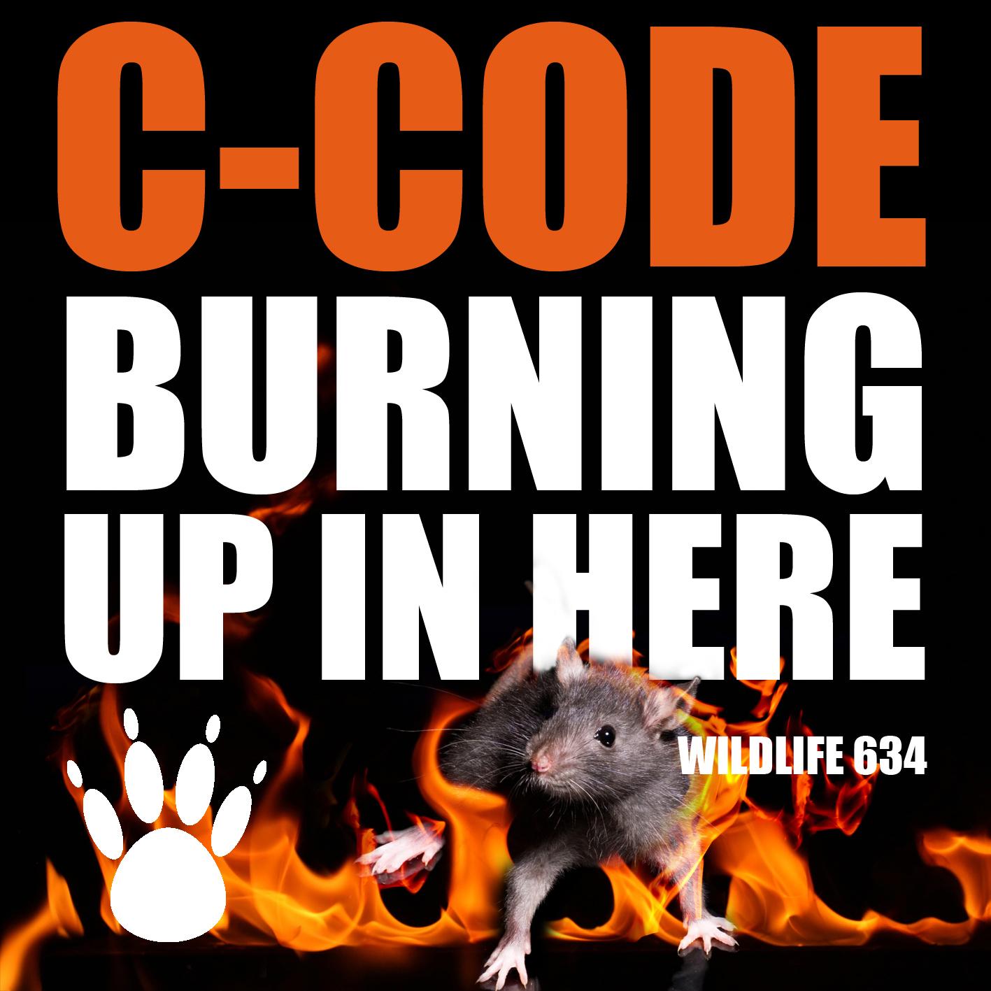 Burning Up In Here