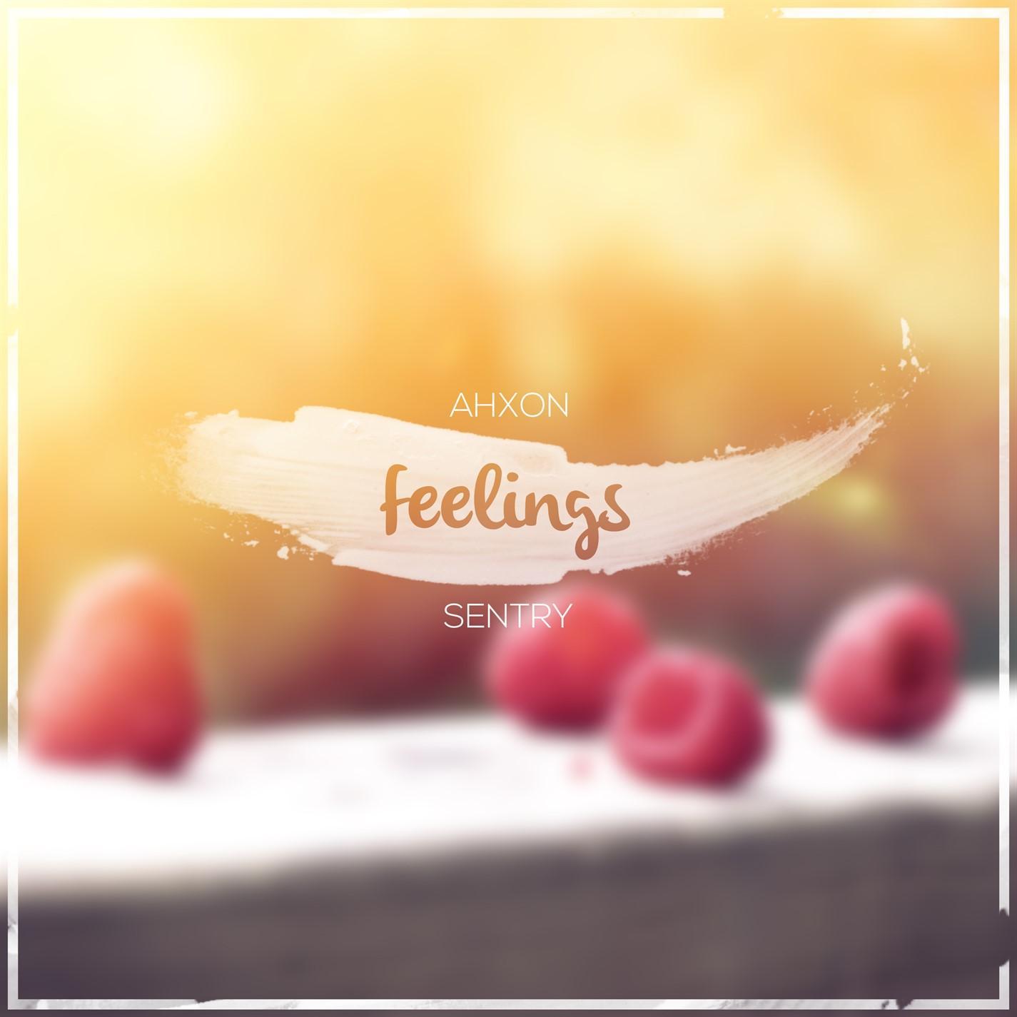 Feelings