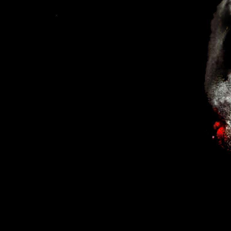 dark beats
