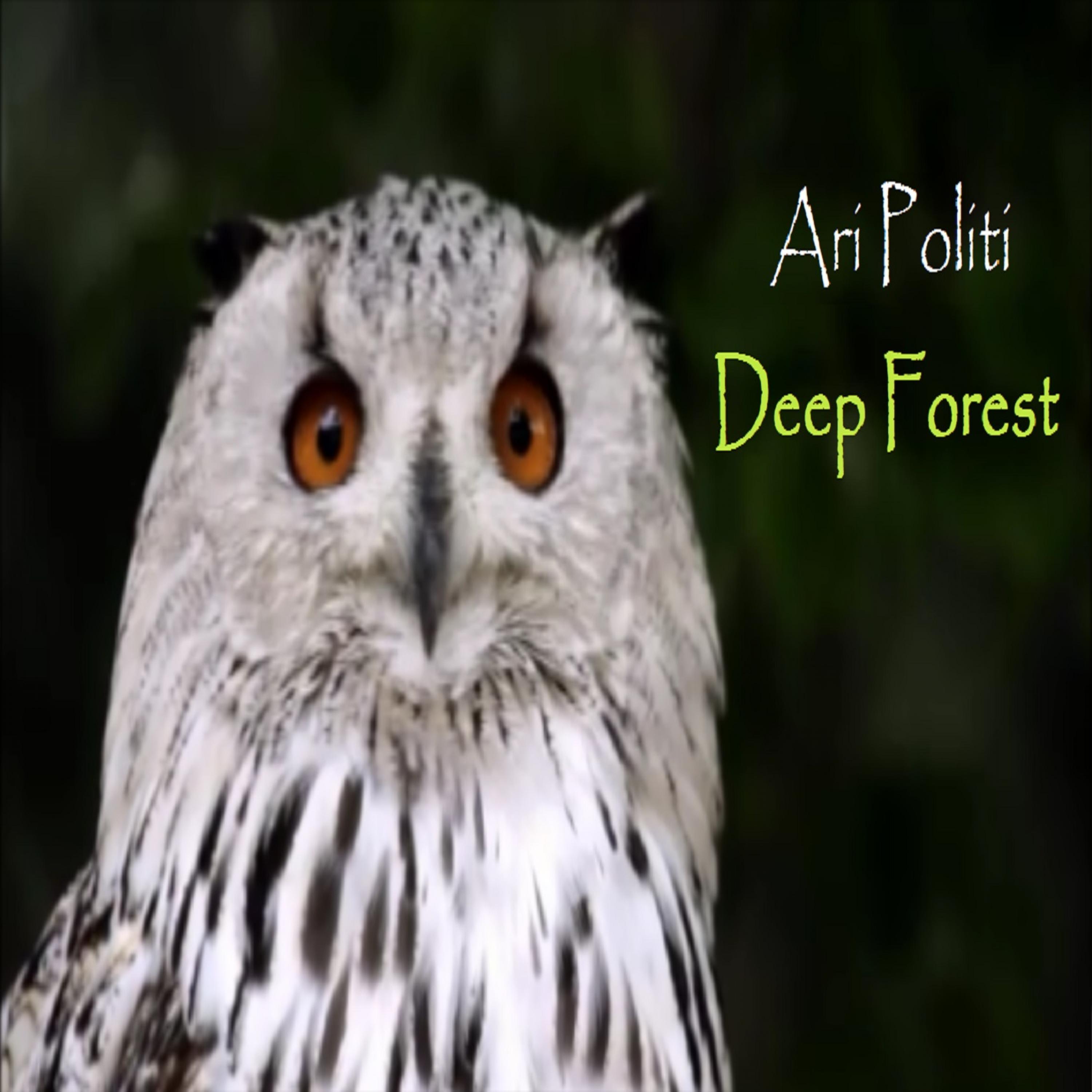 Deep Forest