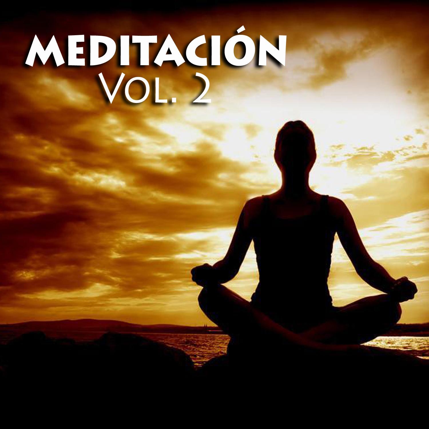 Meditacio n, Vol. 2