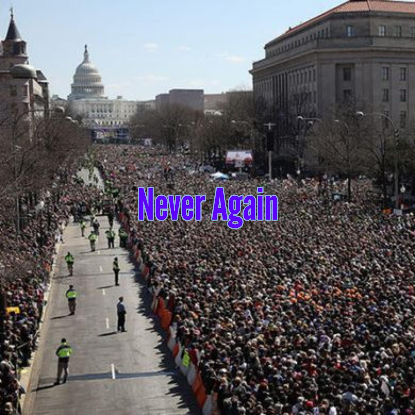 Never Again