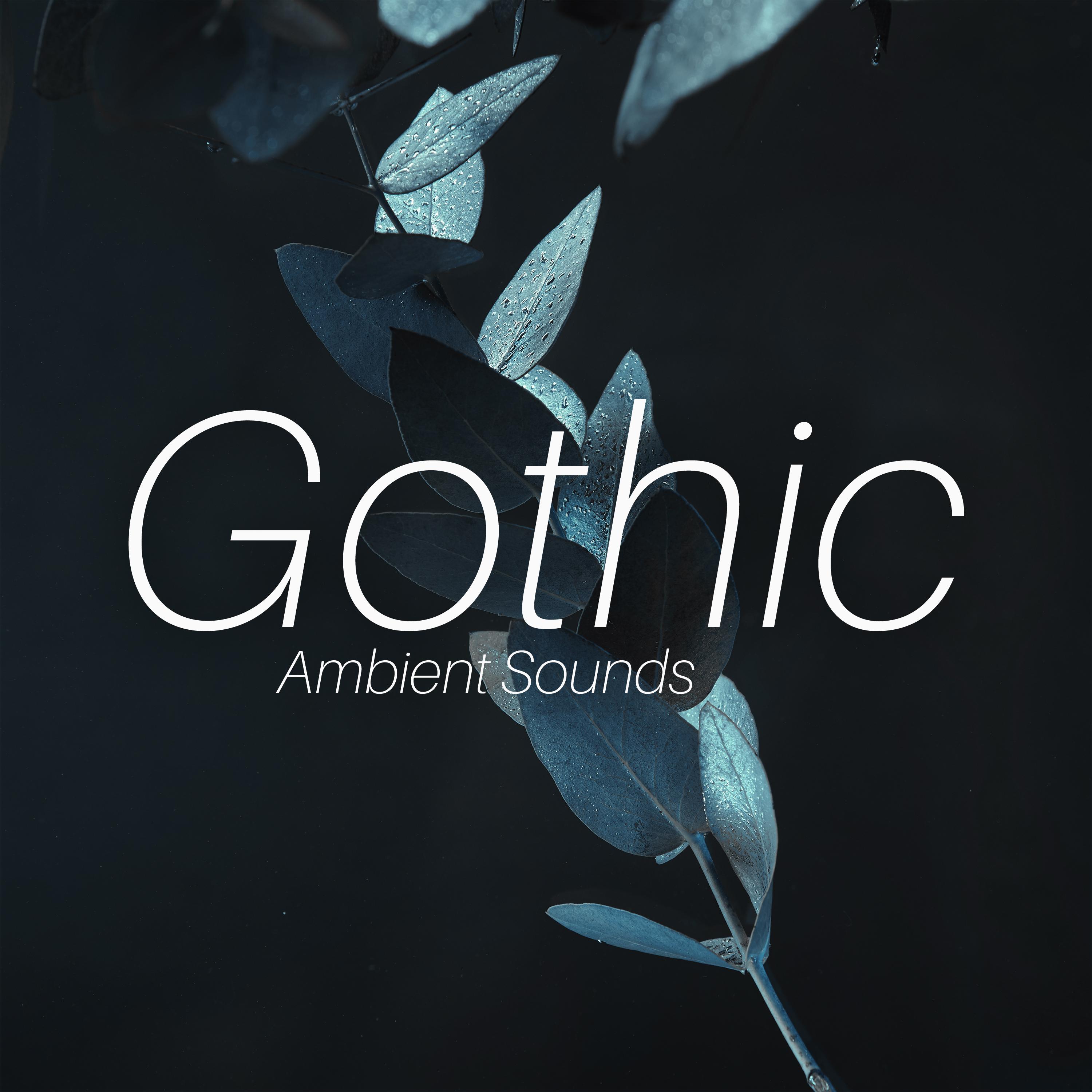 New Age Instrumental
