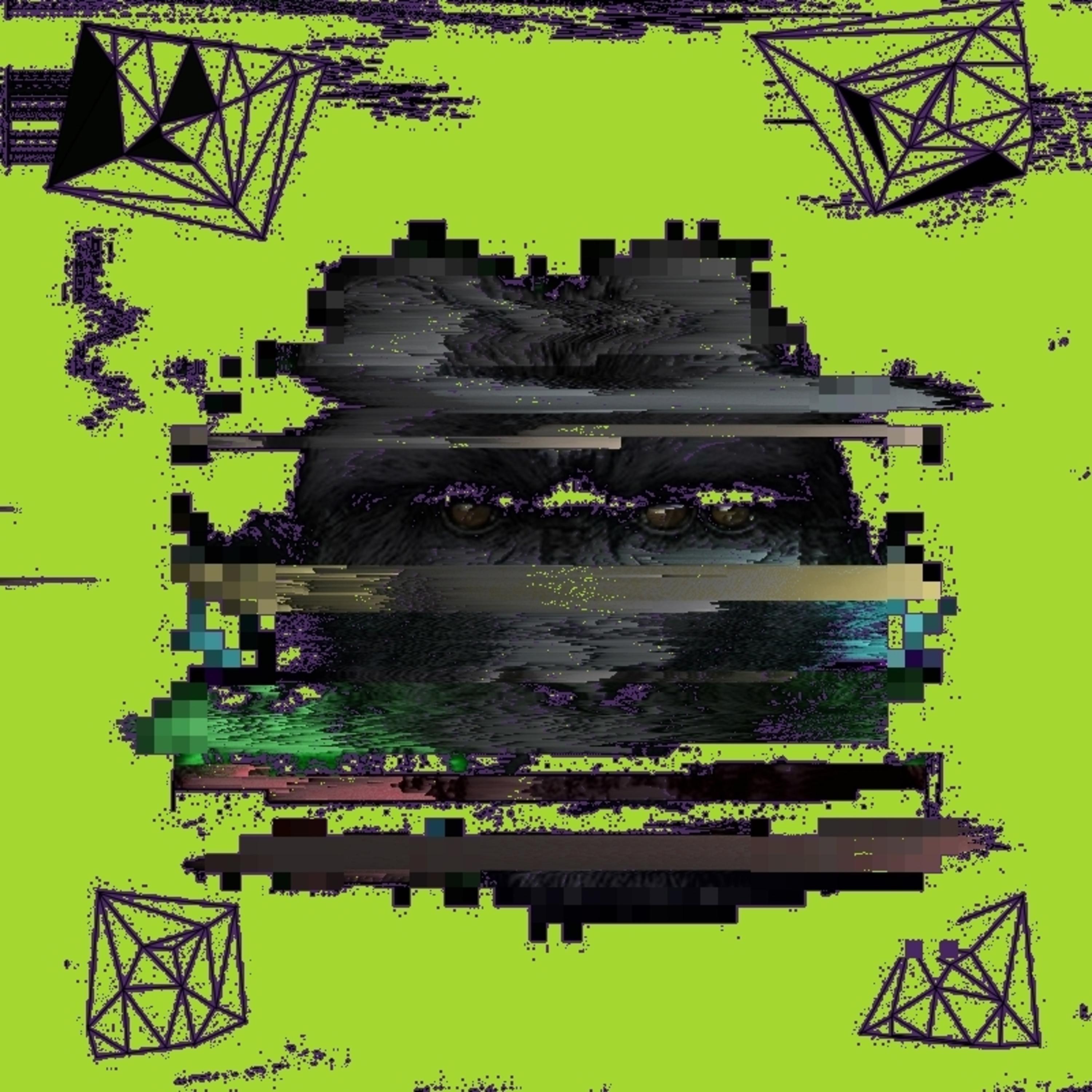 Jungle Error