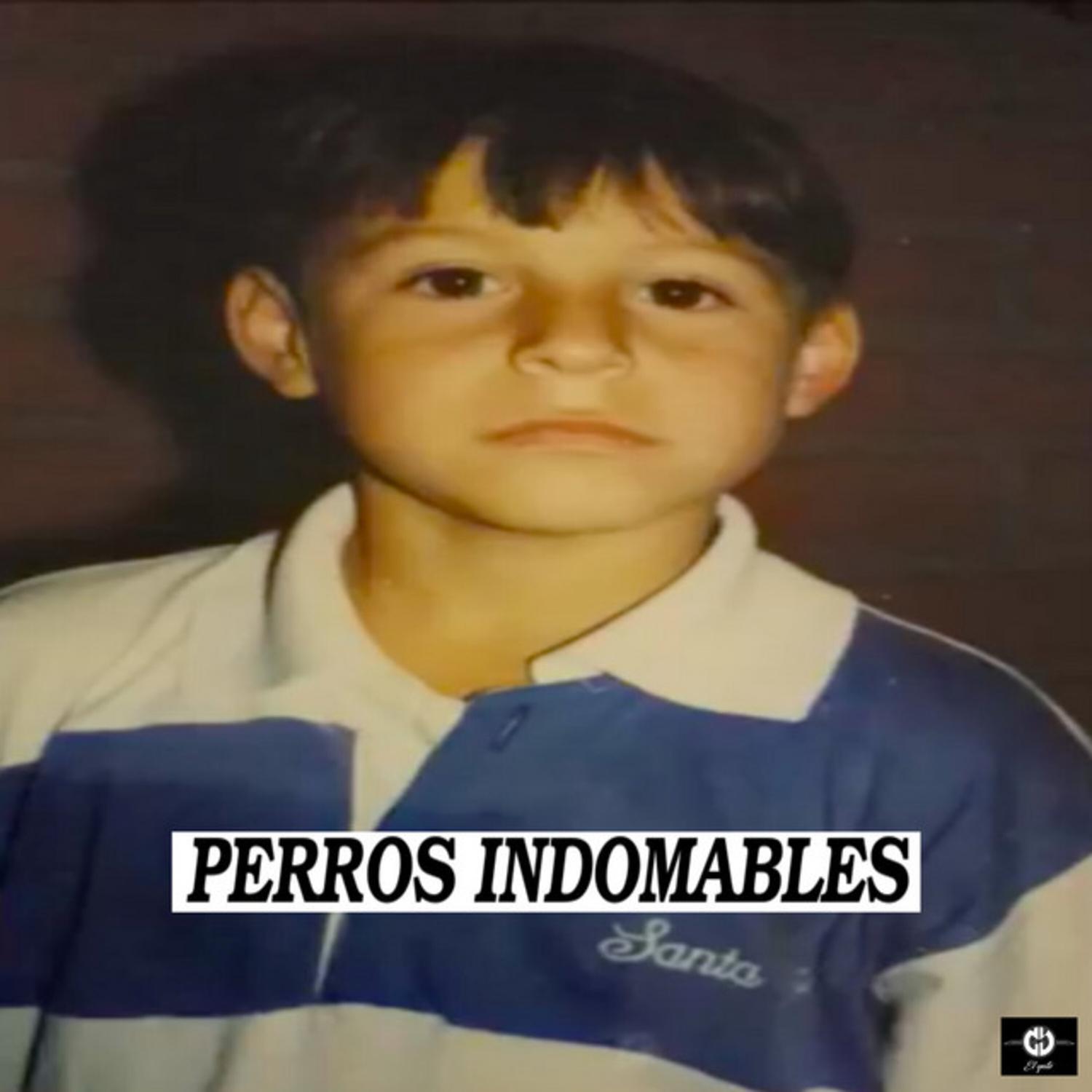 Perros Indomables