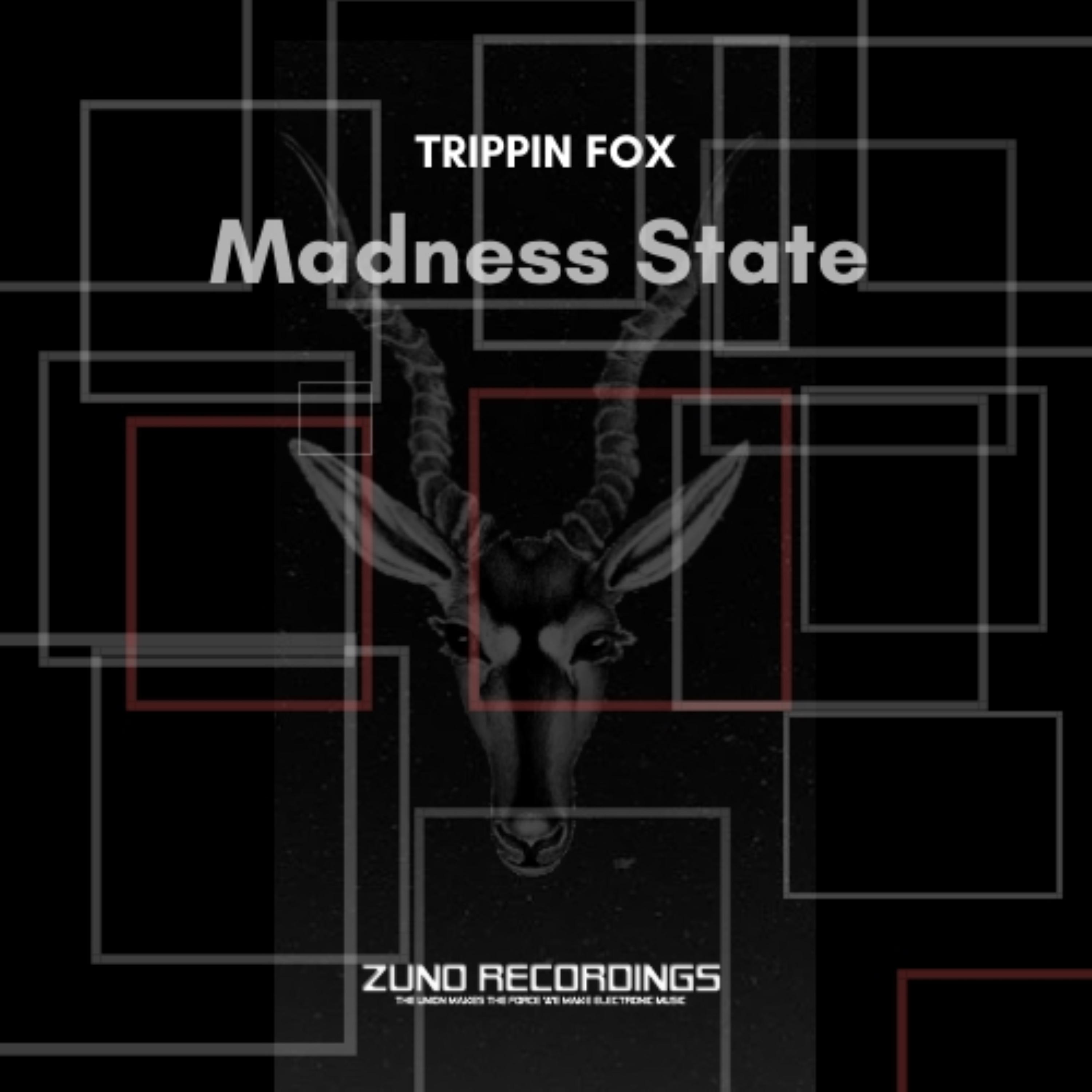 Madness State