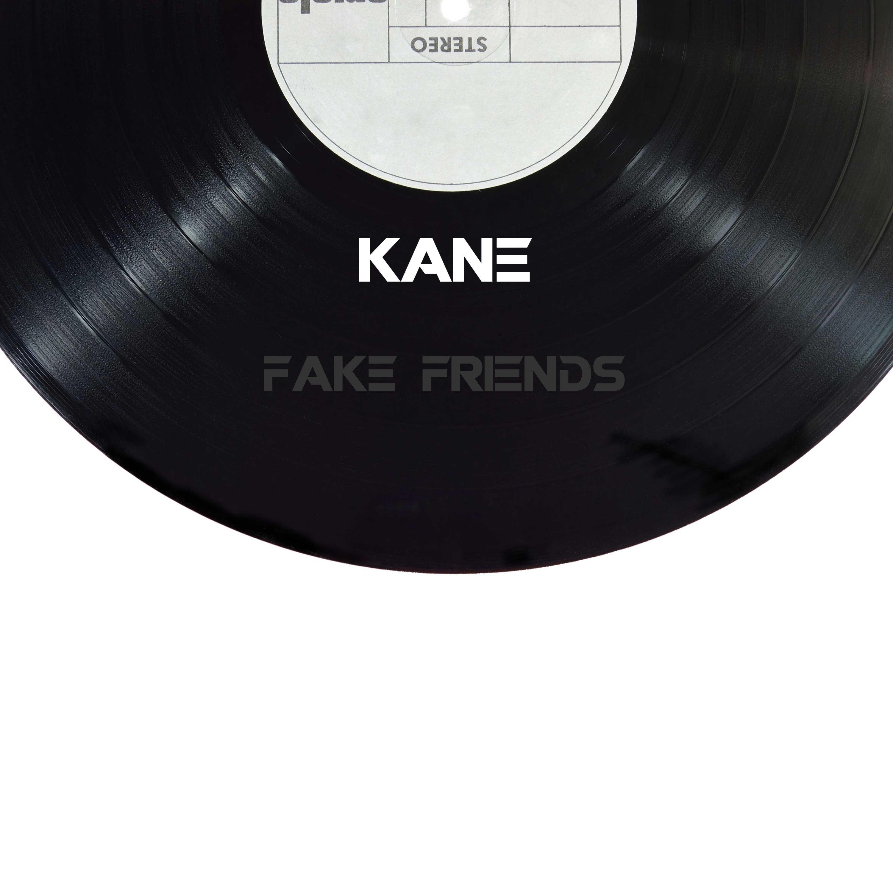 Fake Friends