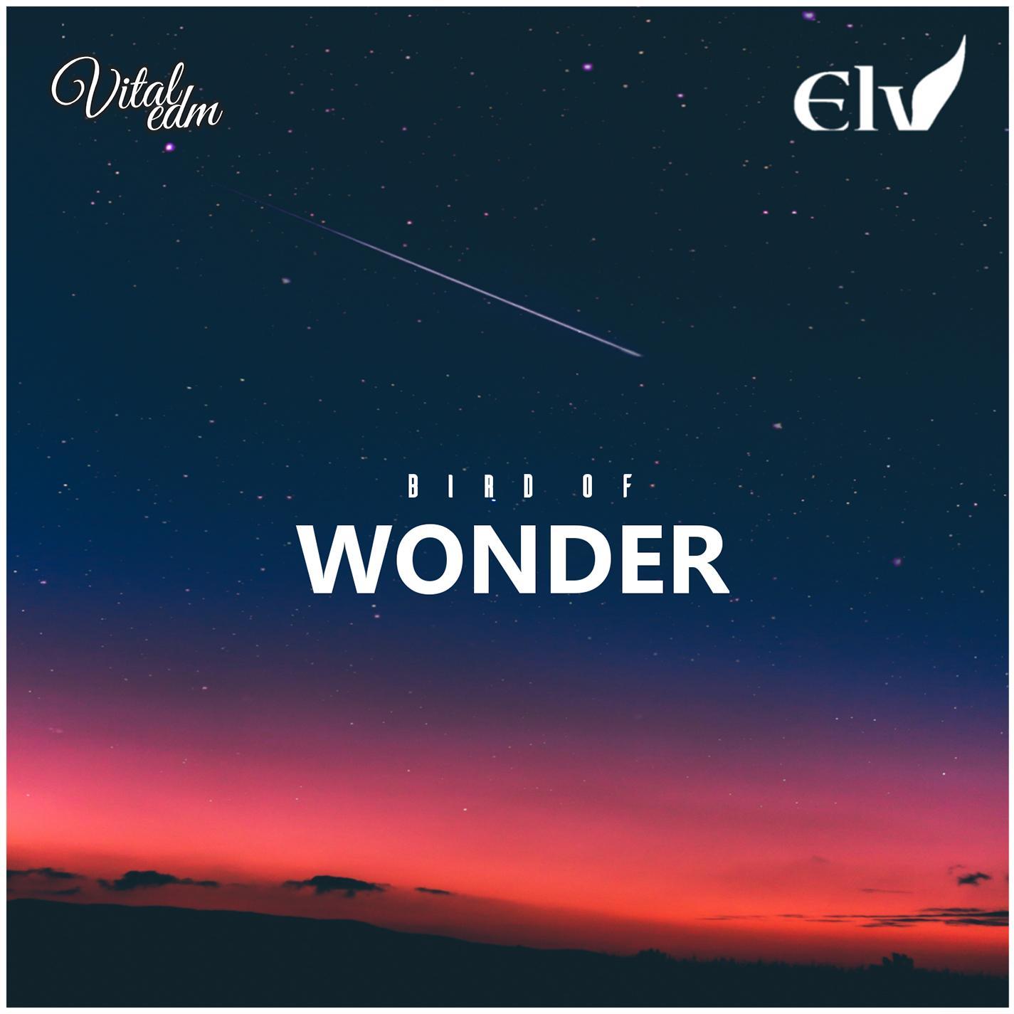 Bird Of Wonder