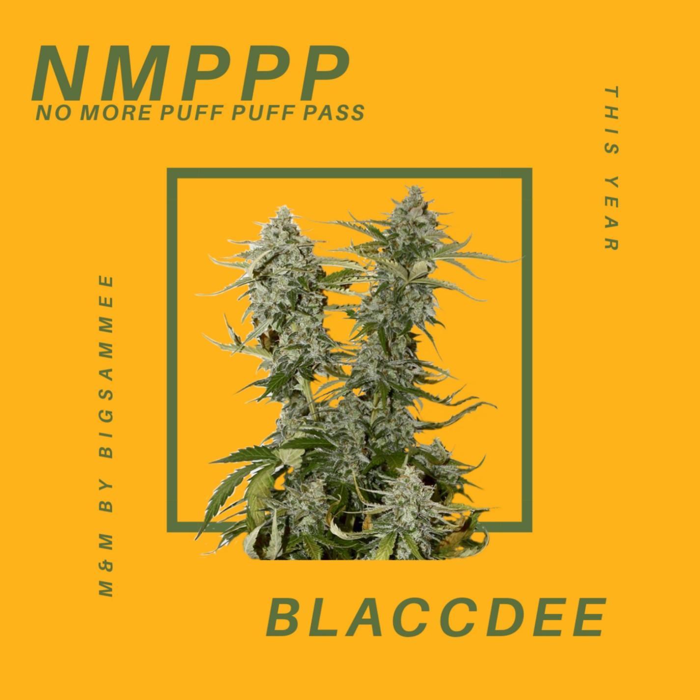 NMPPP