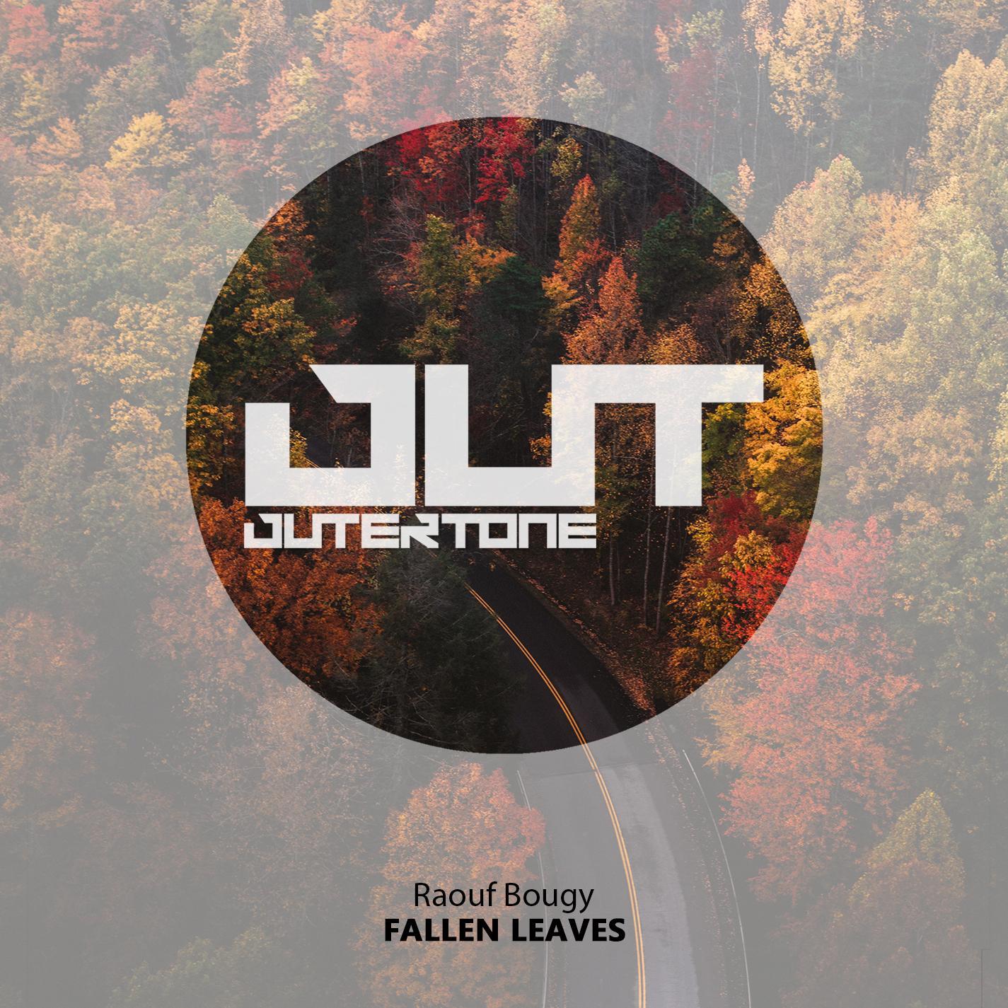 Fallen Leaves