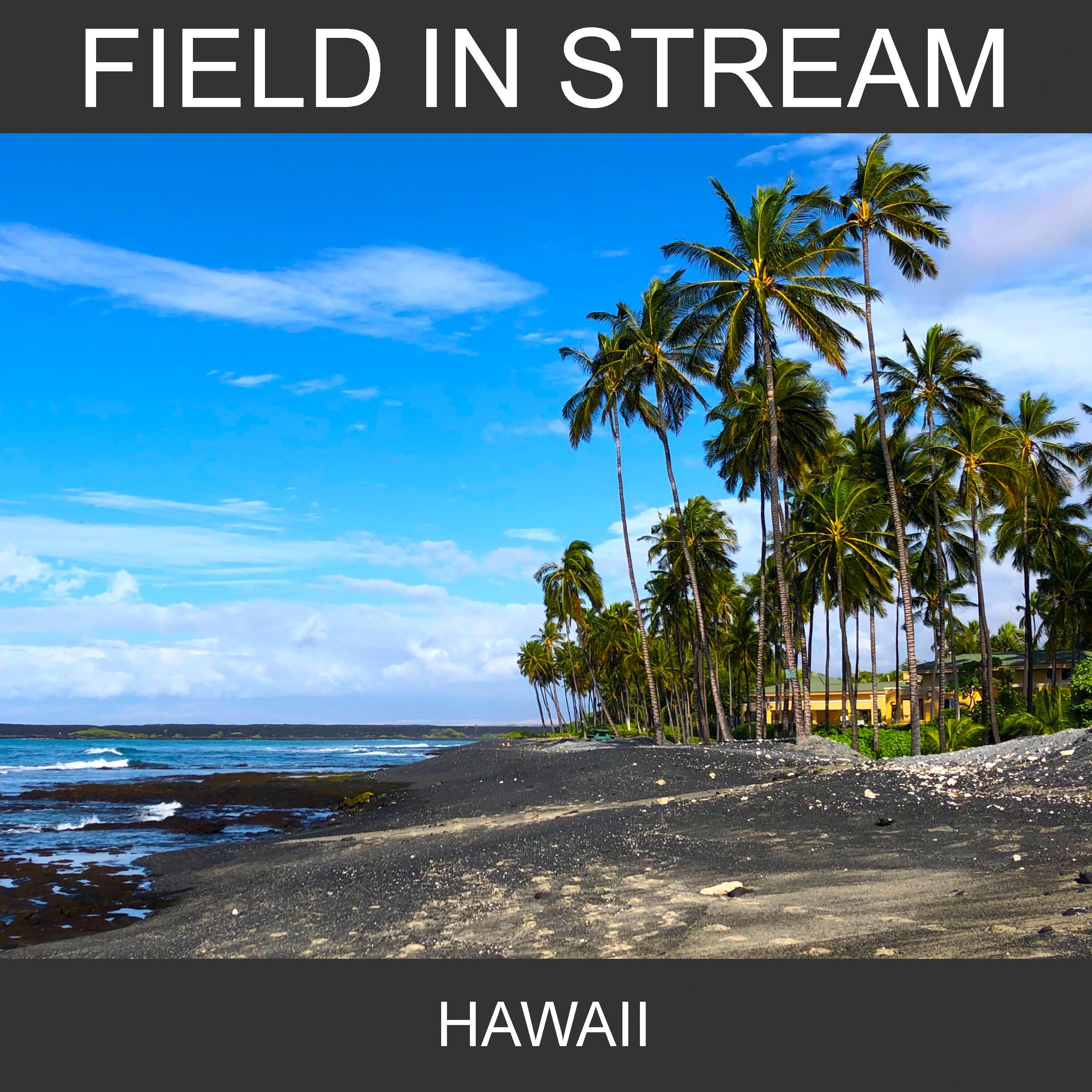 Hawaii