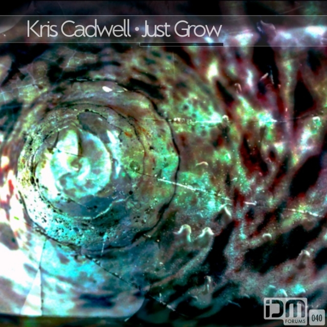 Kitten Battle in Space