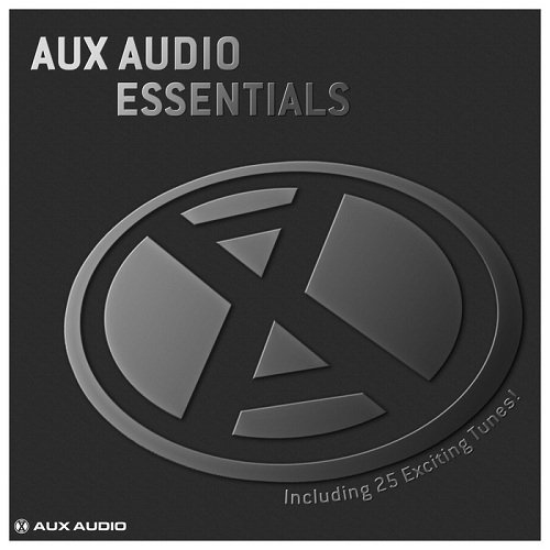 Aux Audio Essentials Including 25 Exciting Tunes!
