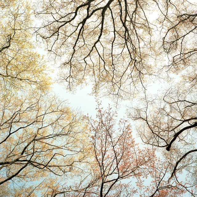 Flow Of Particle Topography