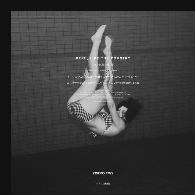 Assassinator (Vinyl Only)