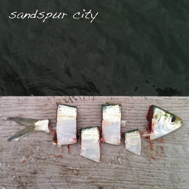 Sandspur City