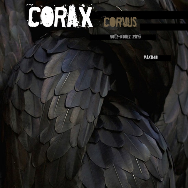 Corvus