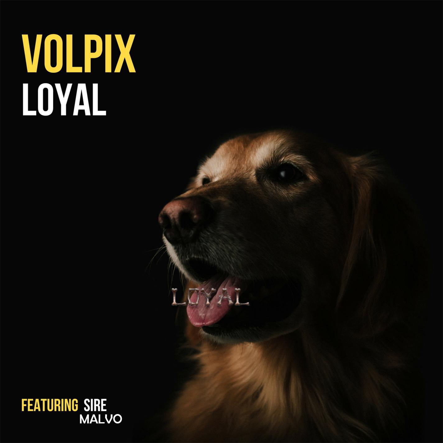 Loyal