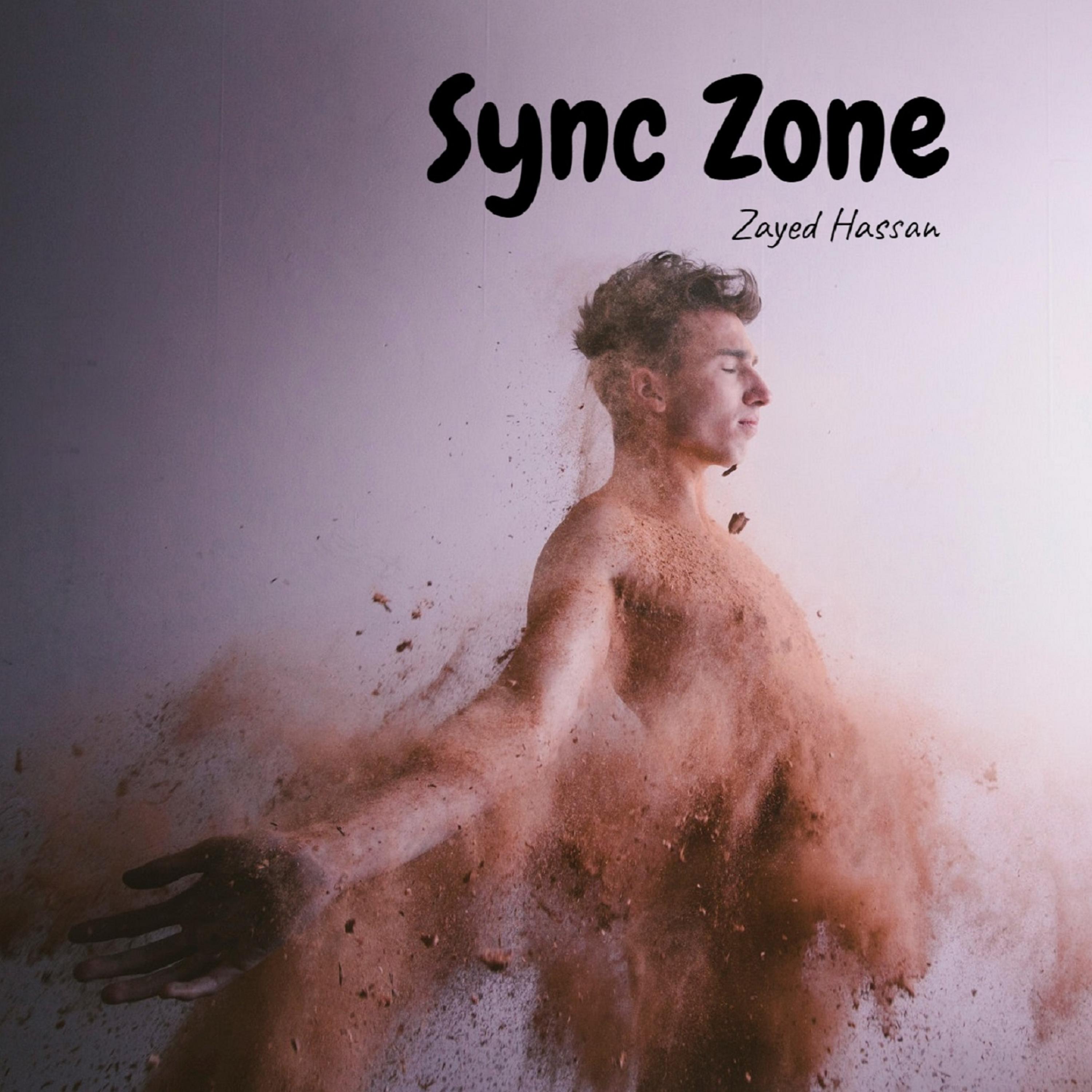 Sync Zone