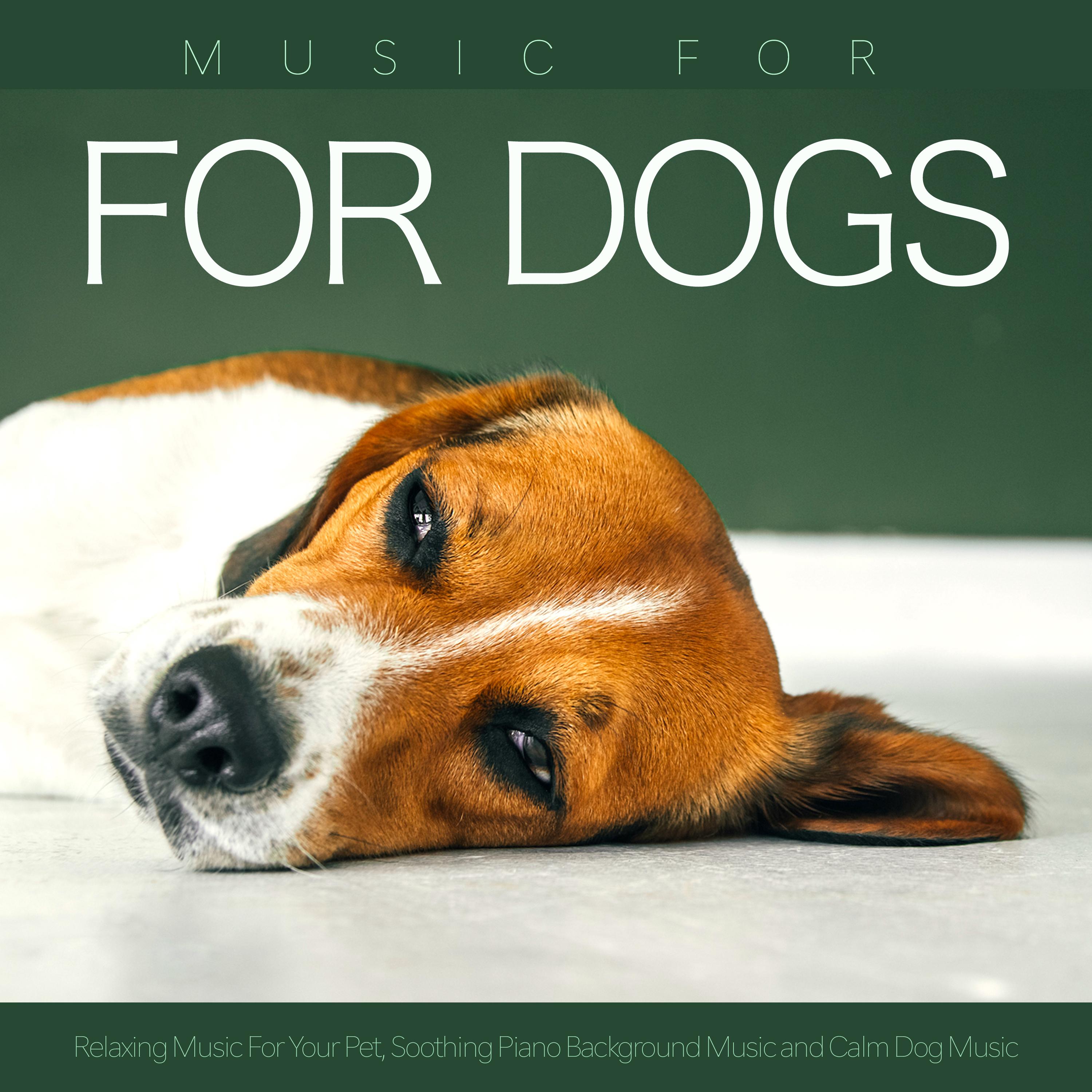 Instrumental Piano