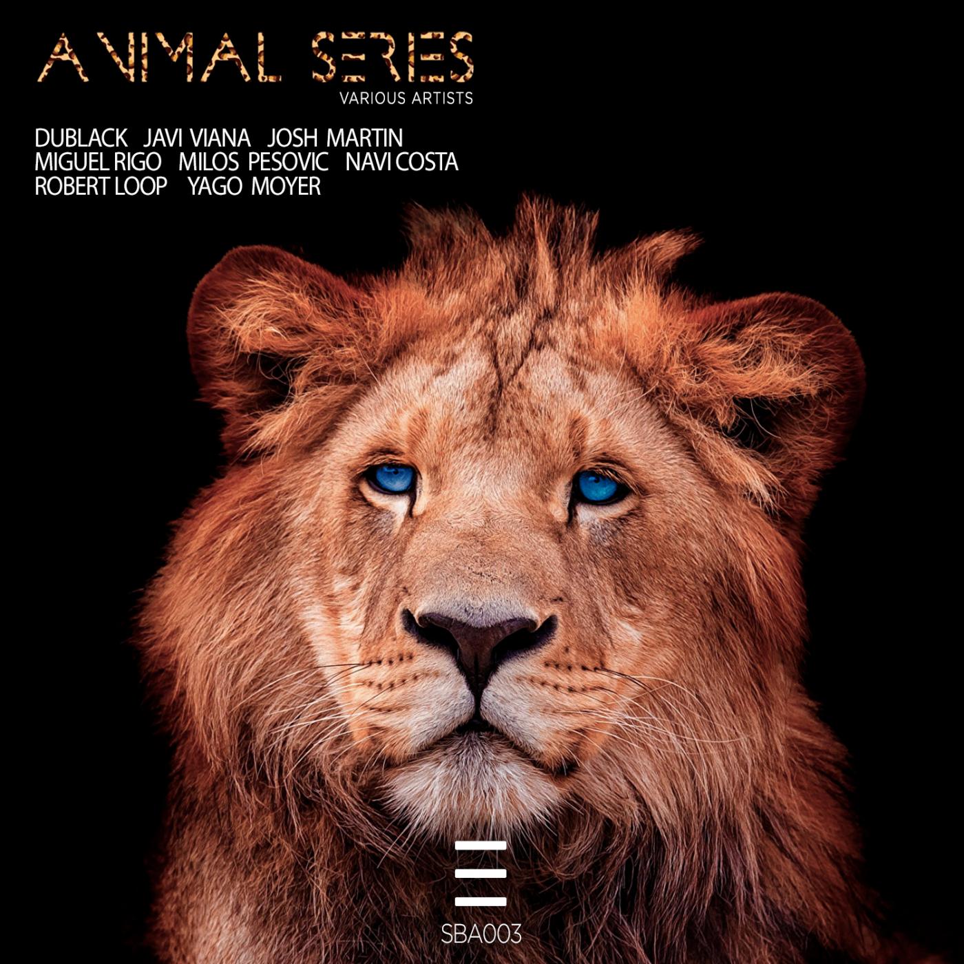 Animal Series