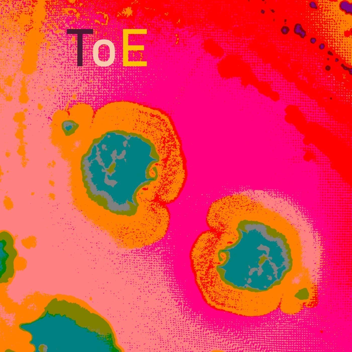 E8 Polytopes