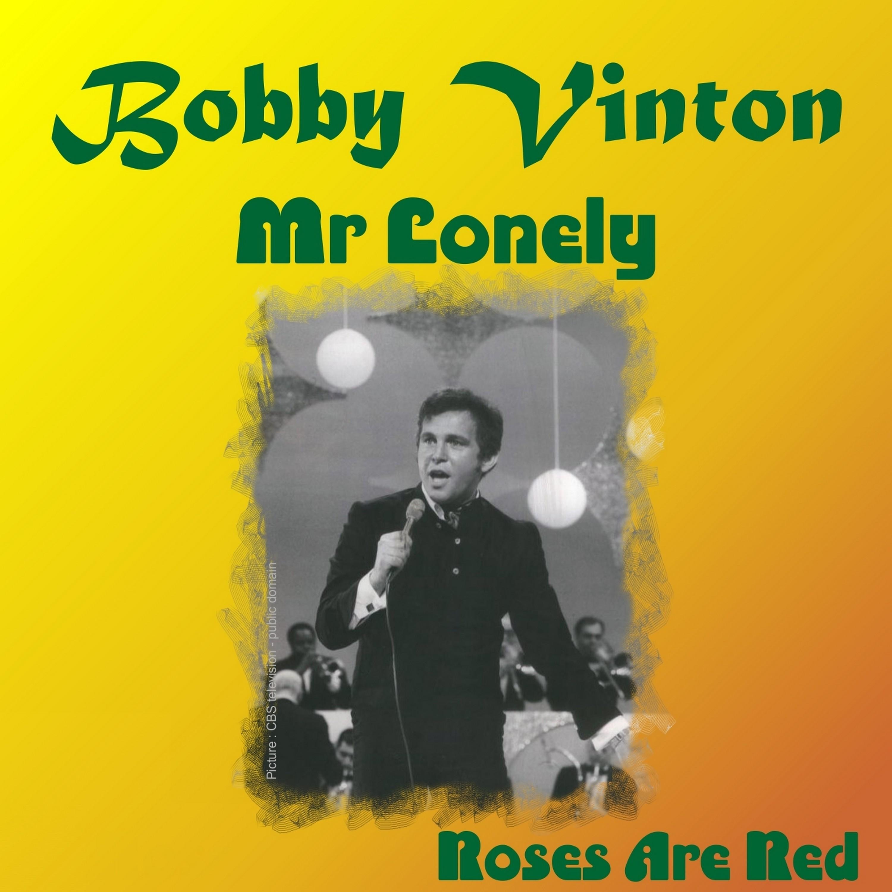 Mr Lonely
