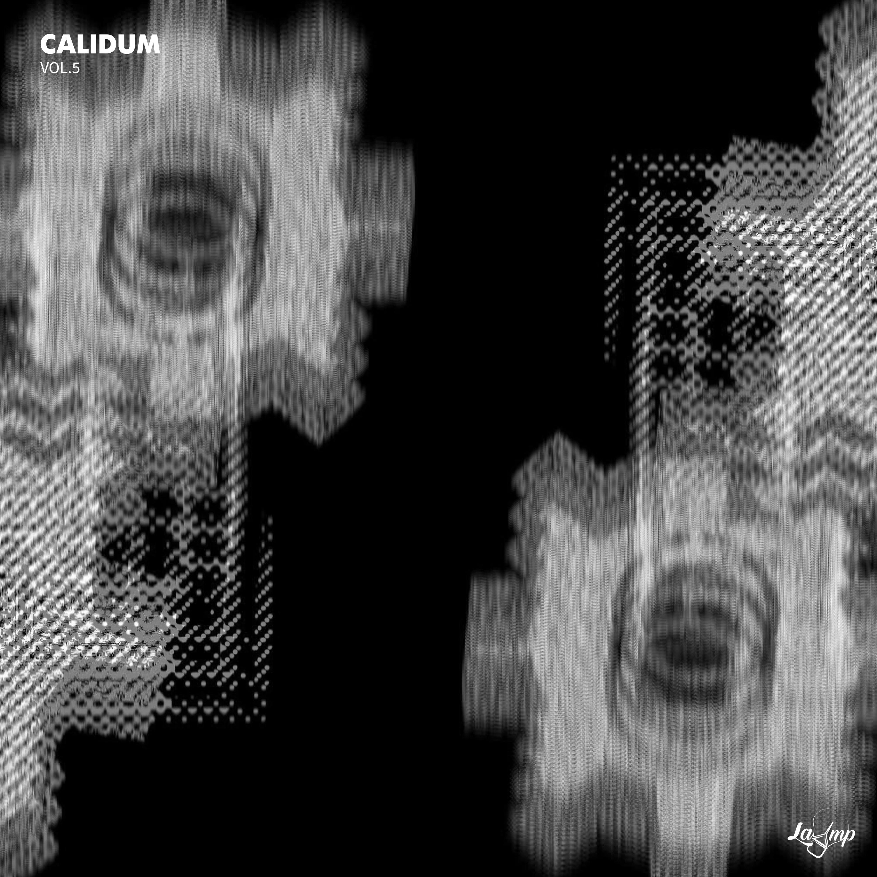 Calidum , Vol.5