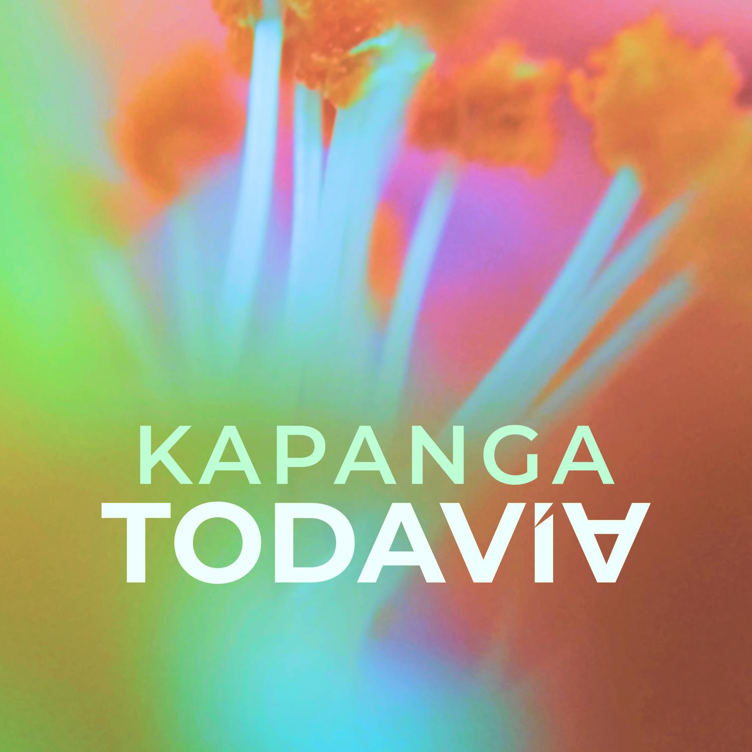 Todavi a
