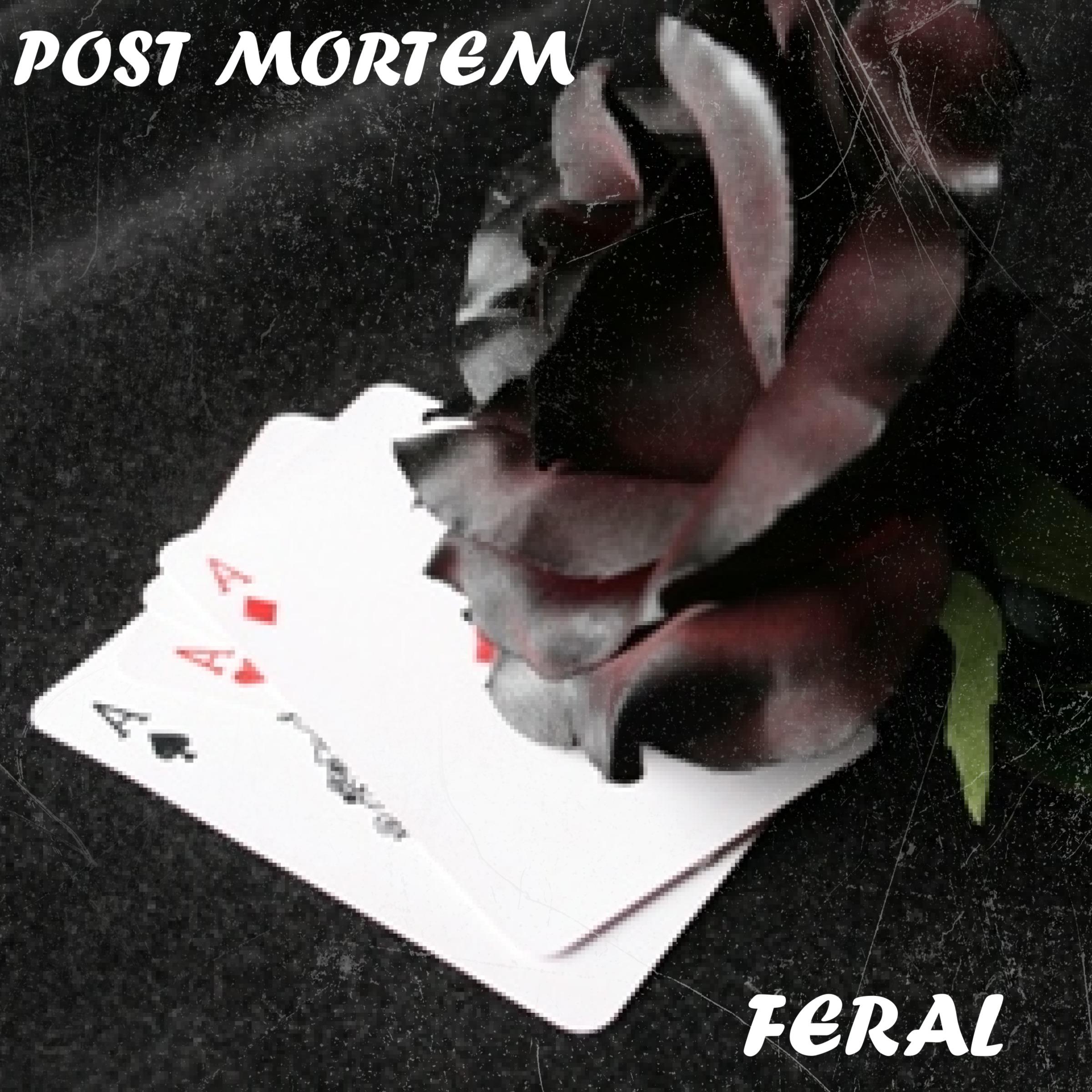 Post Mortem