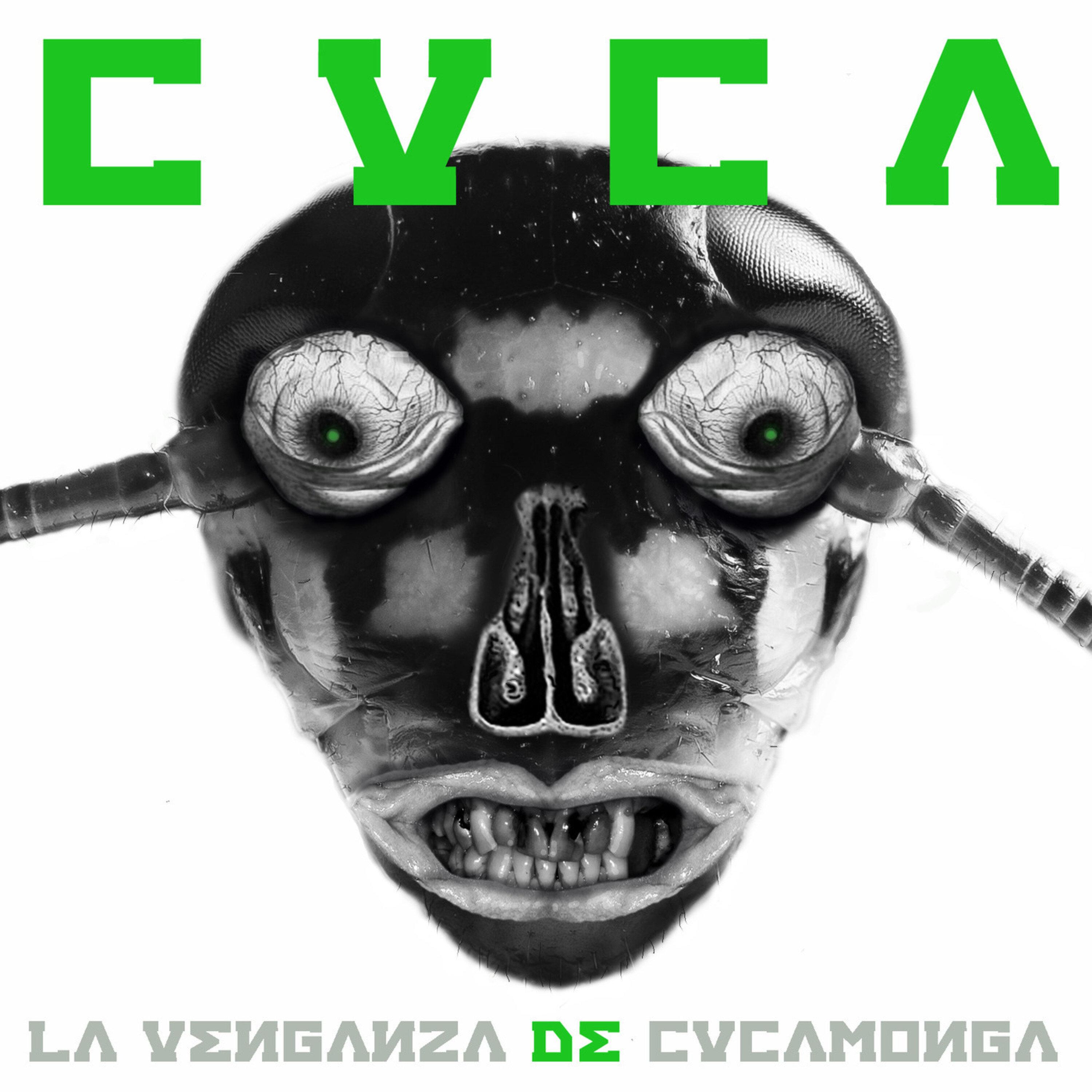 Ladilla Humana