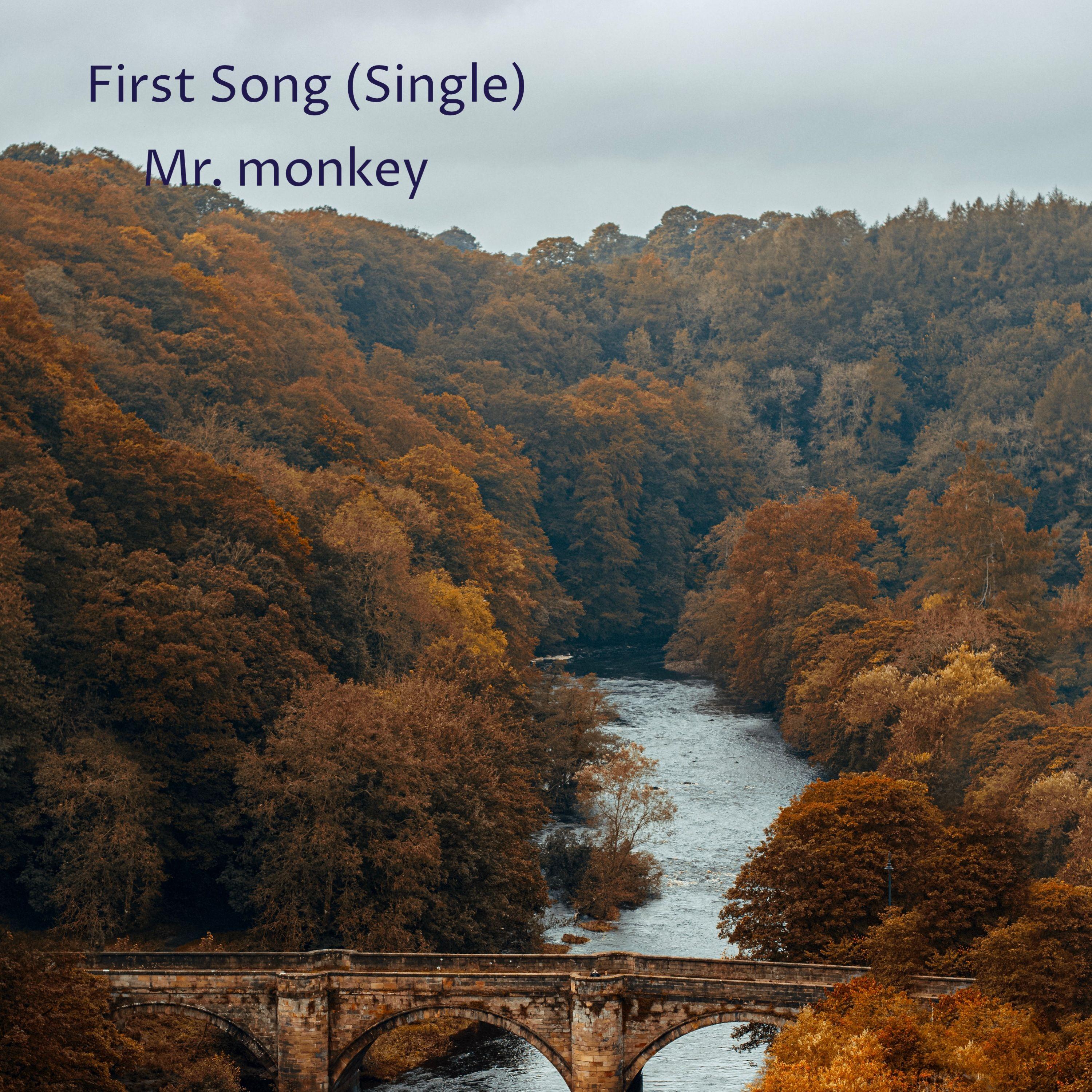 First Song
