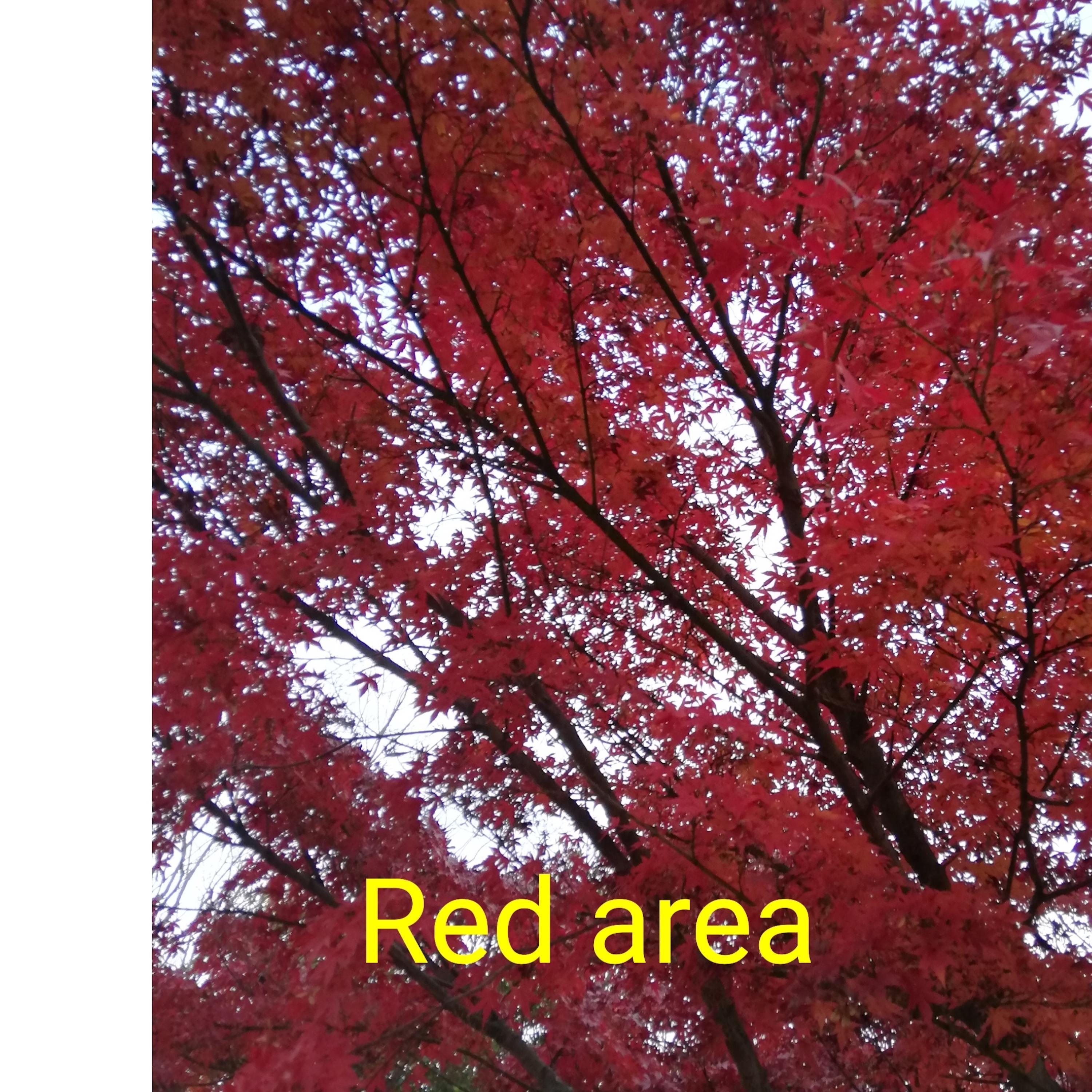 Red area