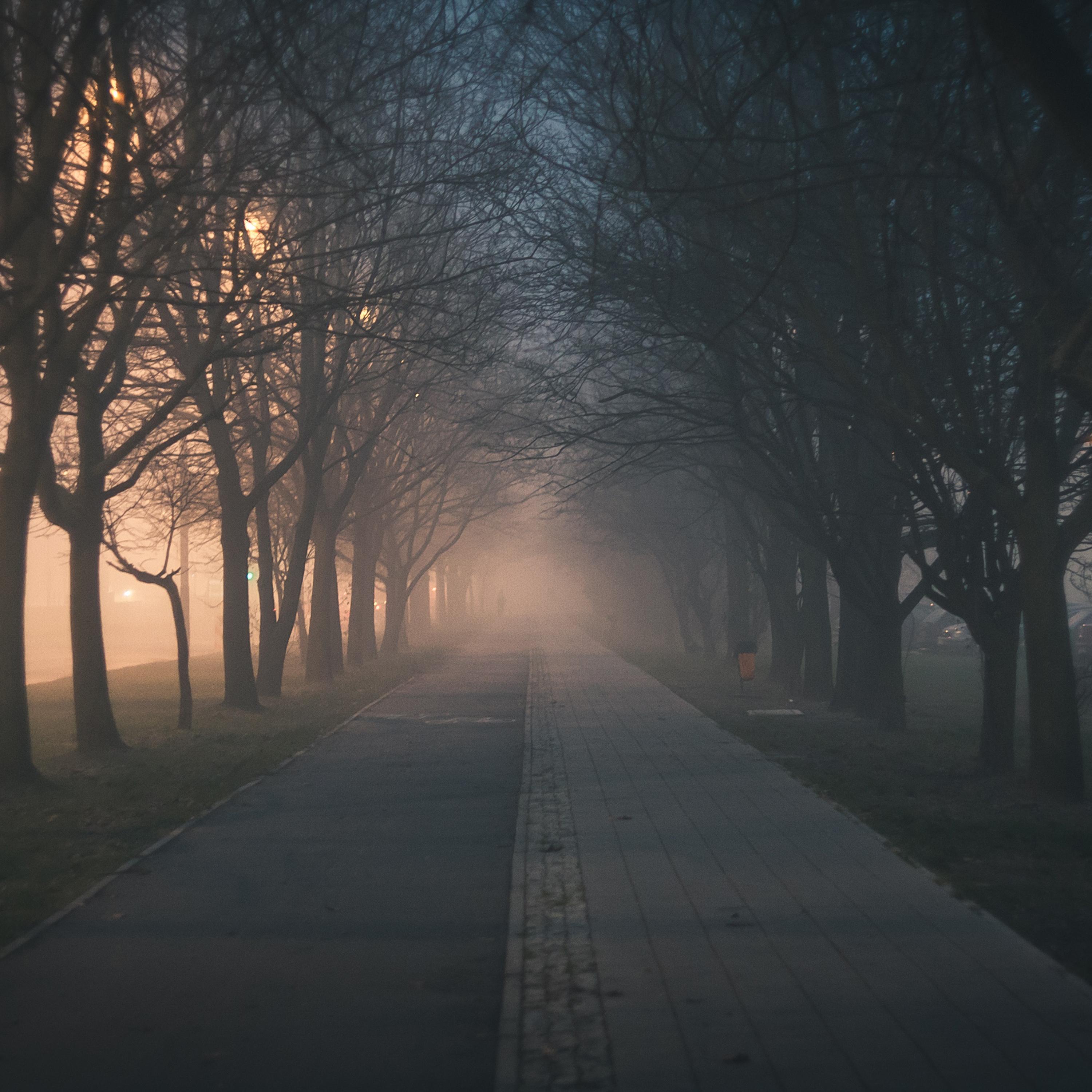 January 2019: Light Rain Compilation