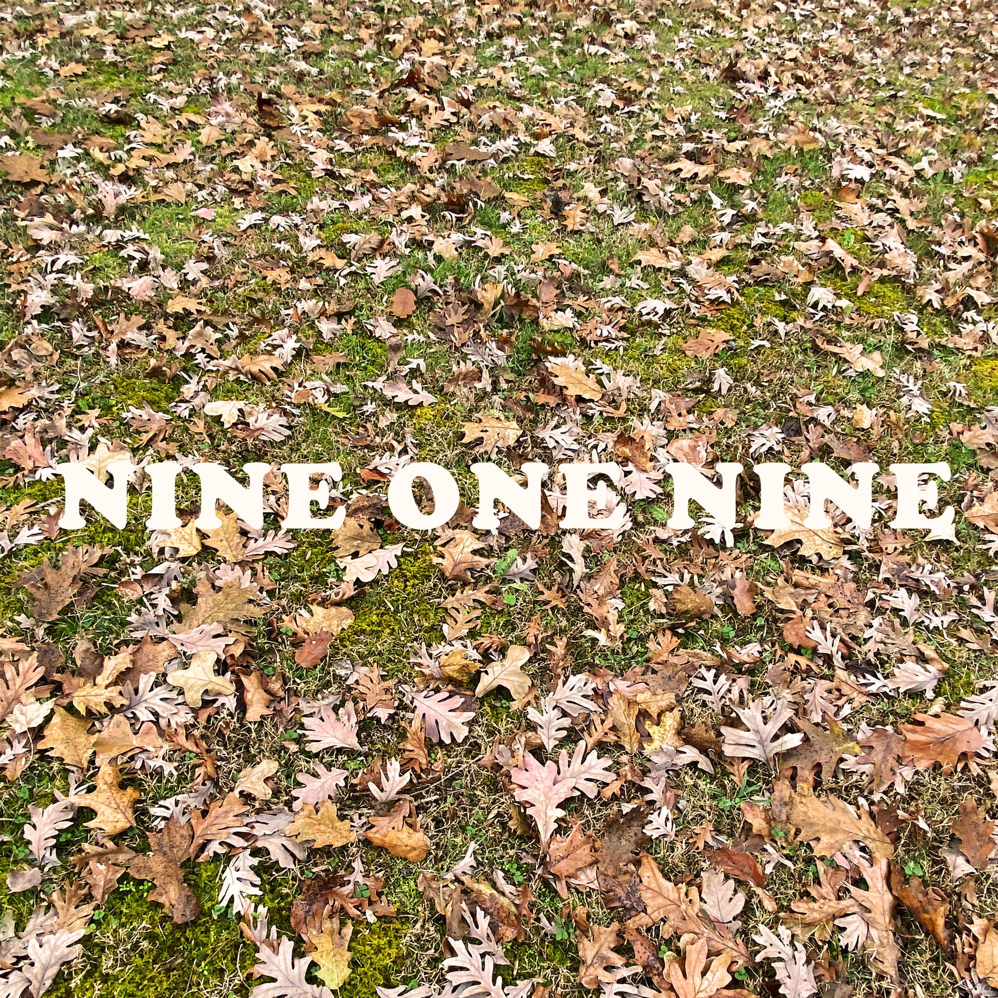 Nine One Nine