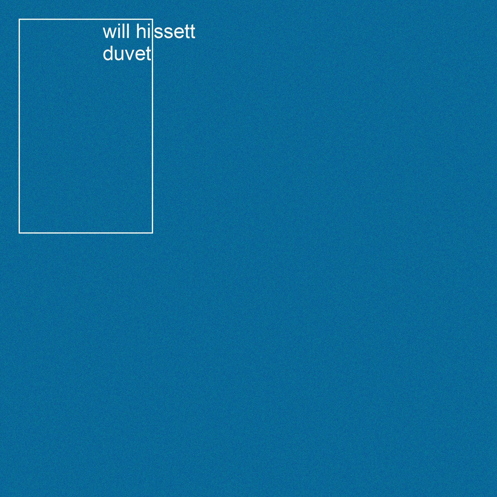 duvet