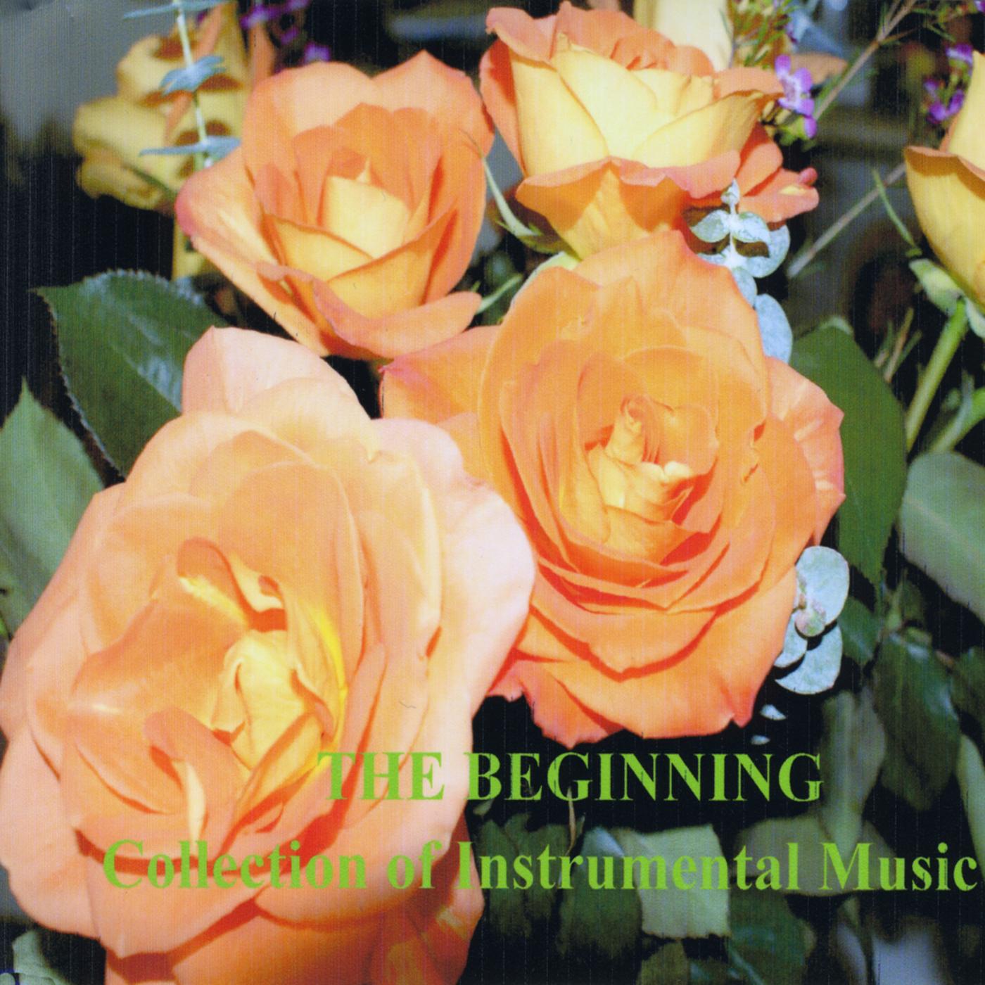 The Beginning