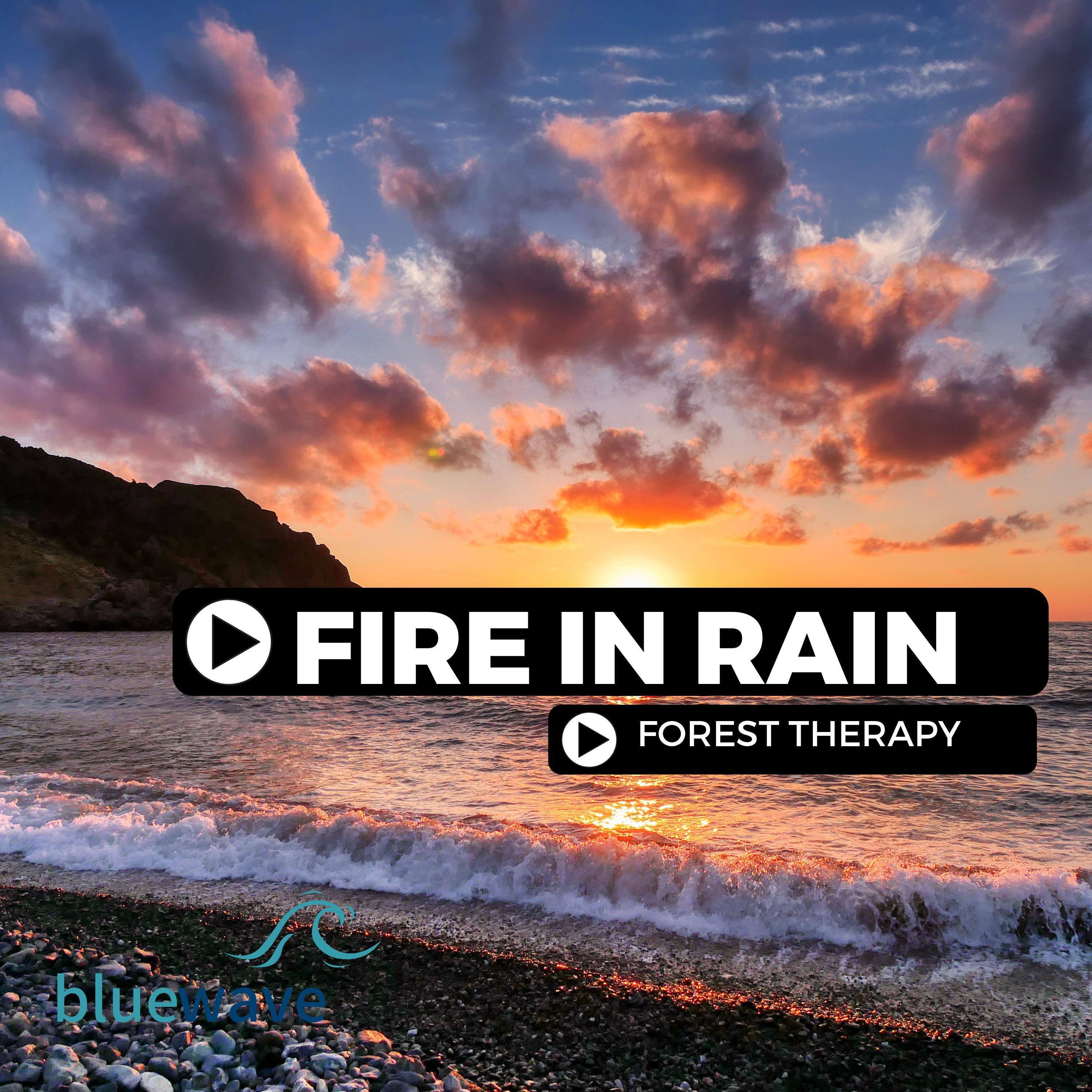 Fire In Rain