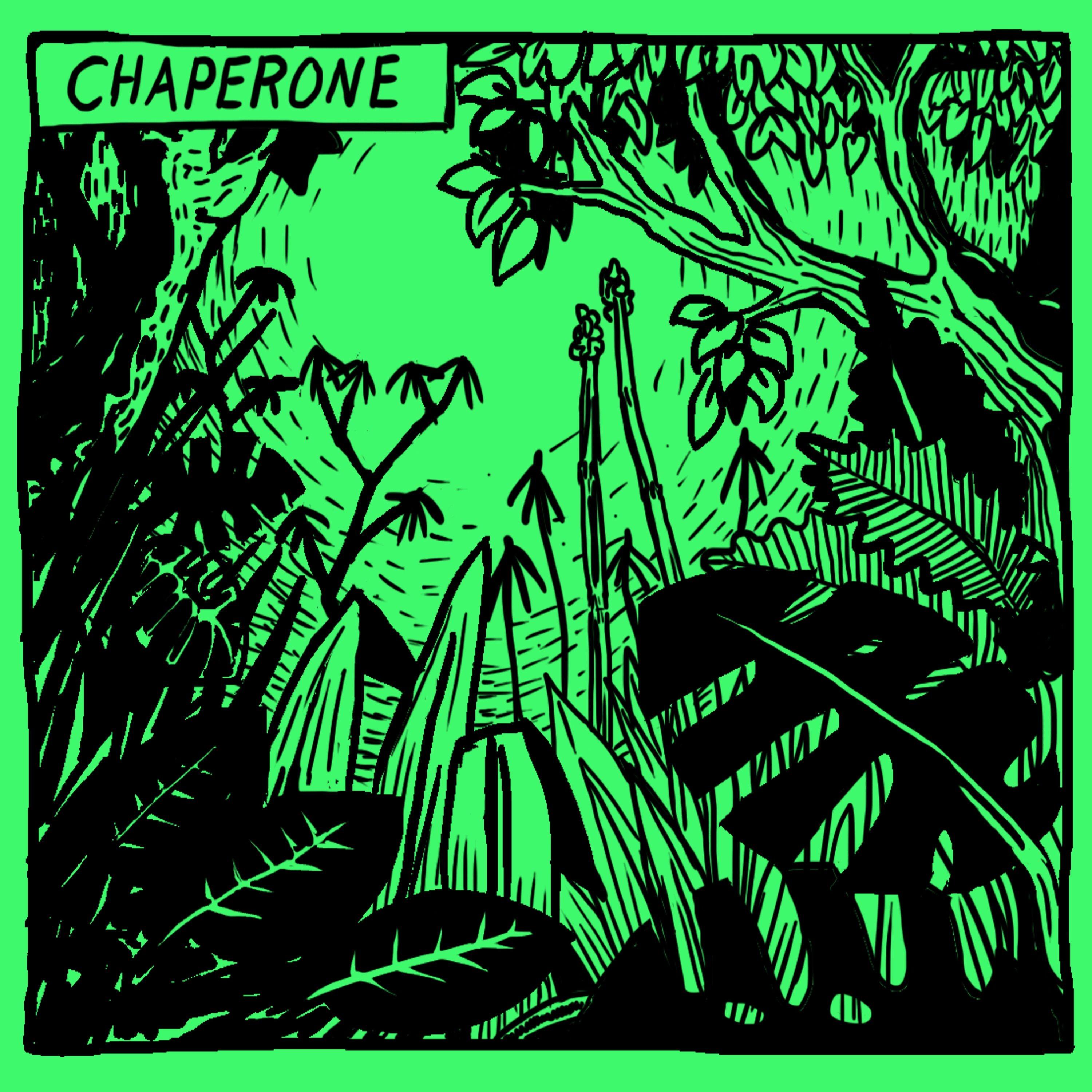 Chaperone